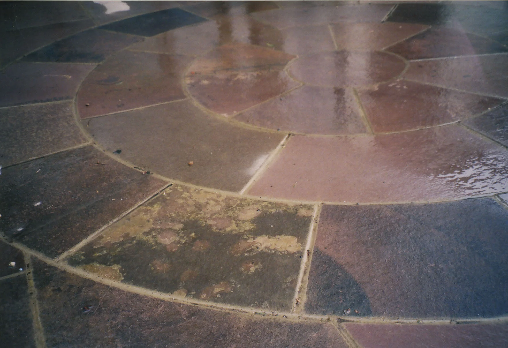Untitled-53.jpg
