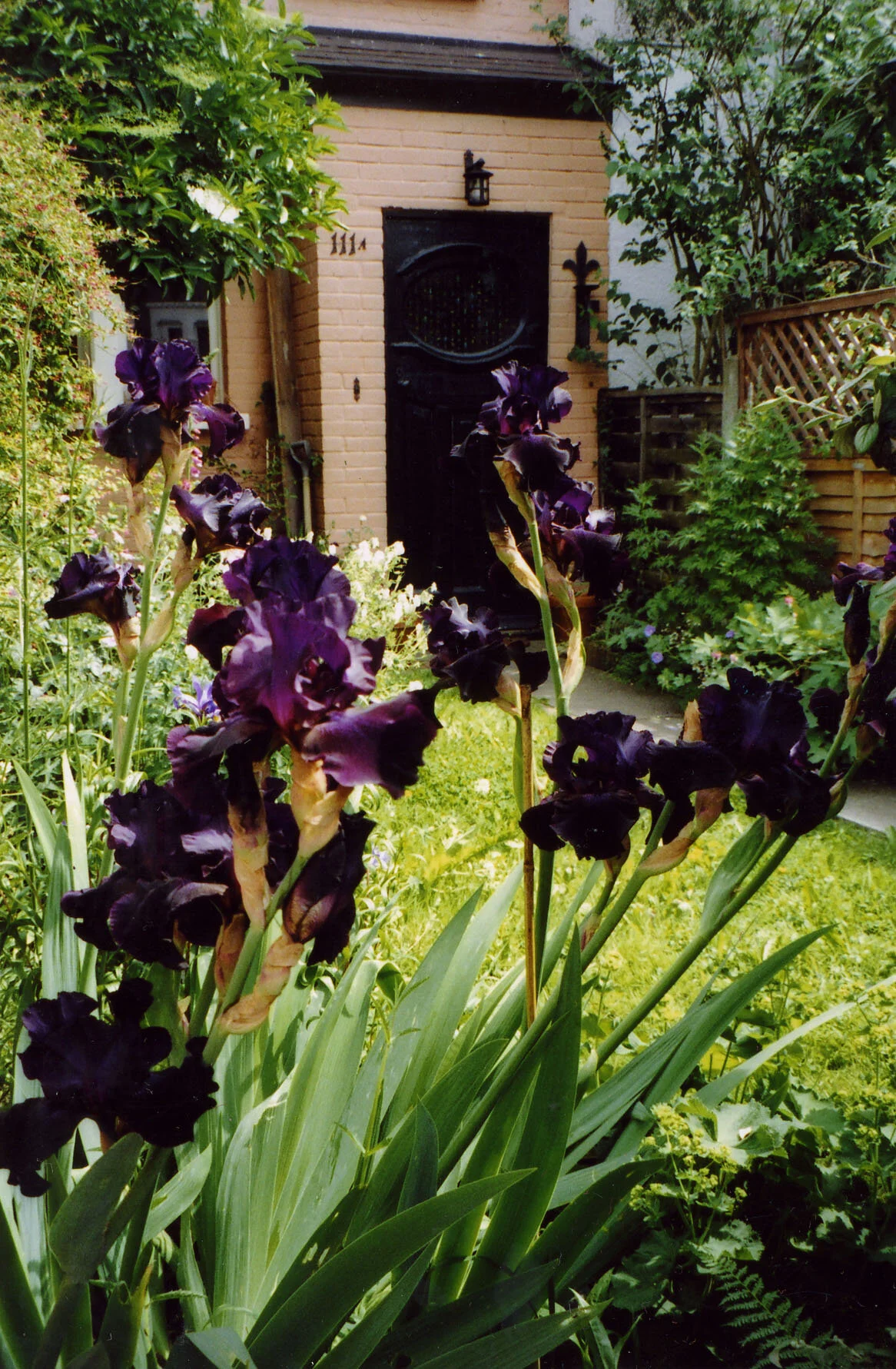 Untitled-48.jpg