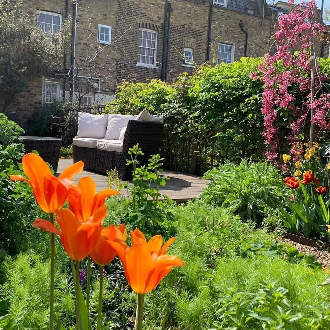 FB_IMG_1620156418350.jpg