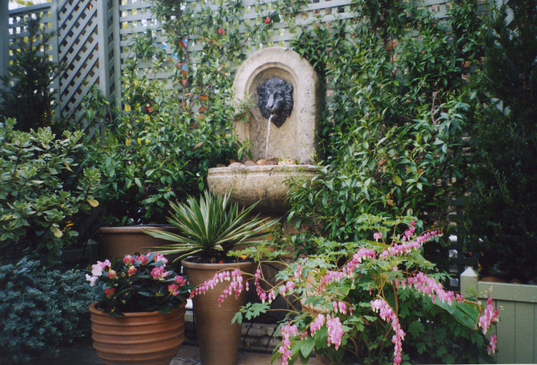 Untitled-26.jpg