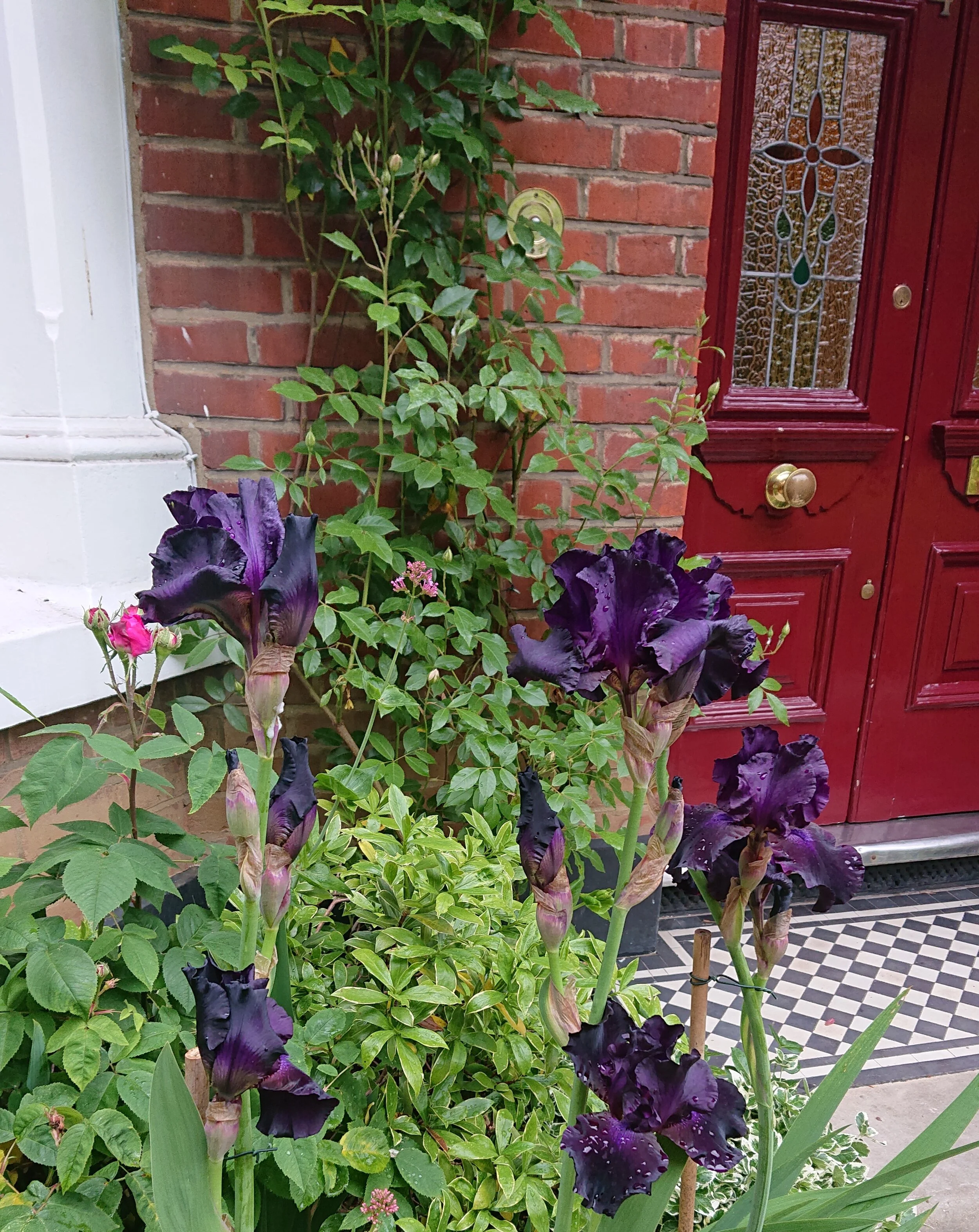 DSC_7037.jpg