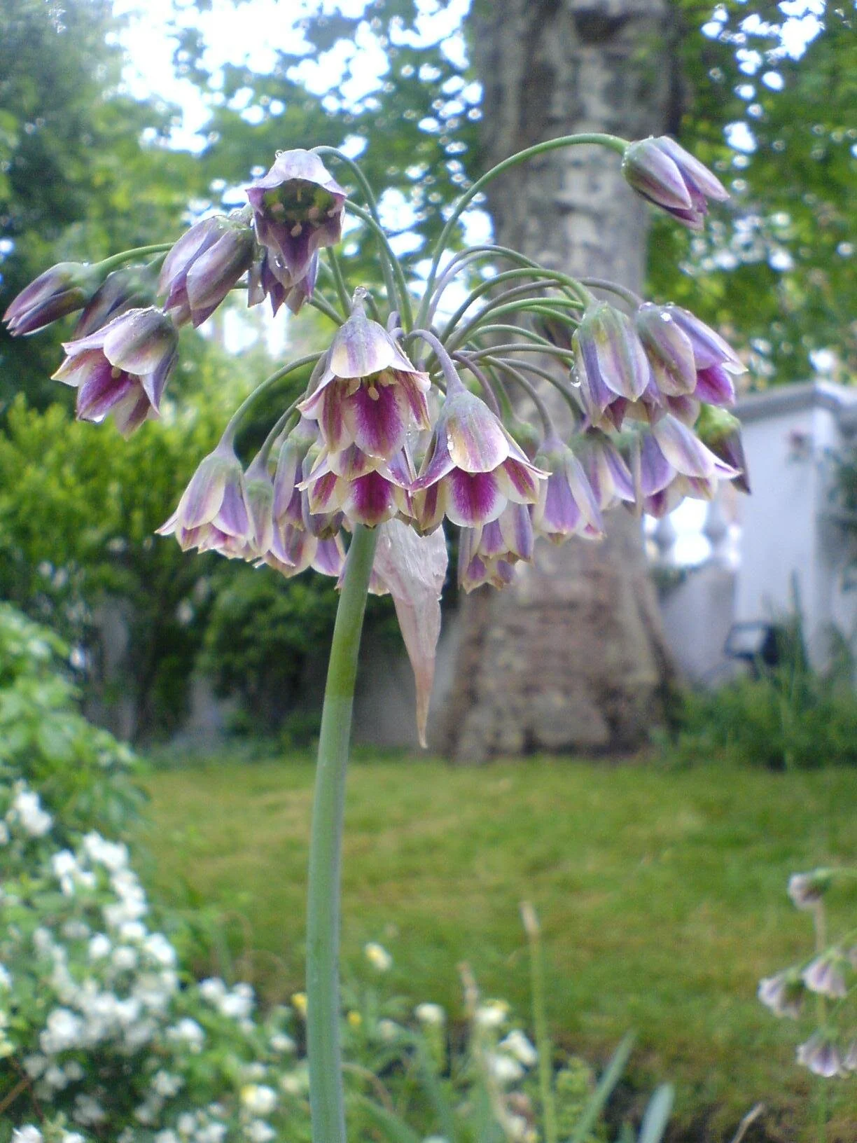 Durh 004.JPG