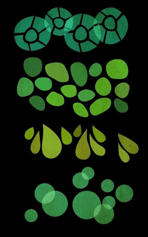 image-asset-3.jpg