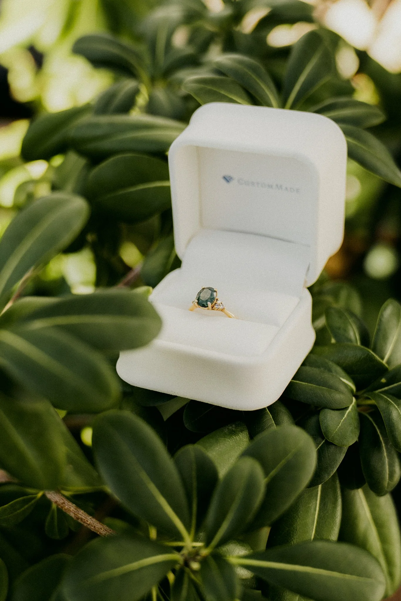 A gold ring with a dark central gemstone and small diamonds on the band, displayed in a white jewelry box amid green leaves.