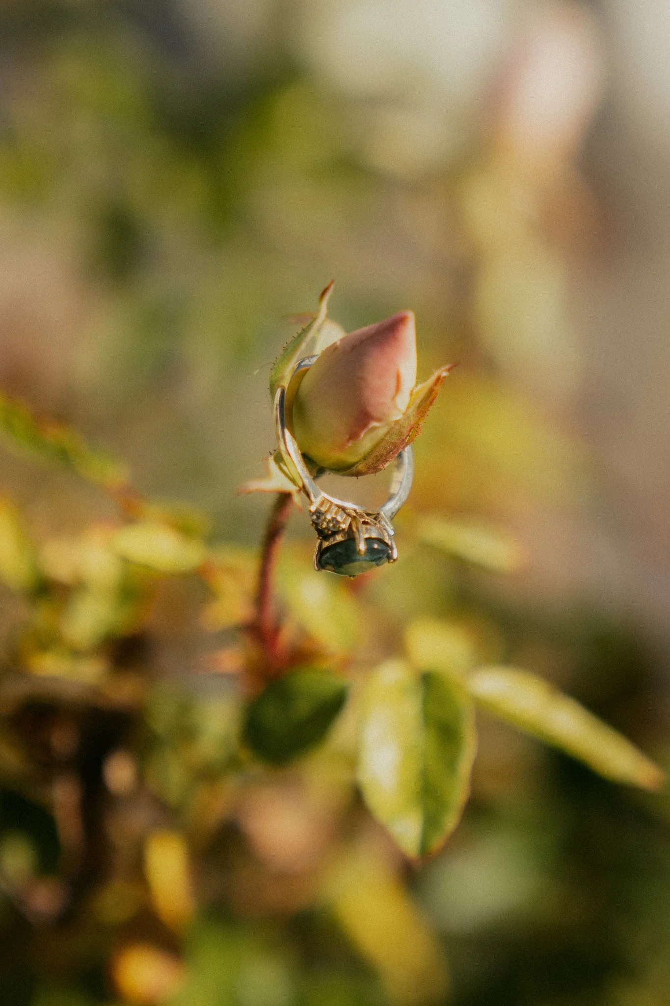 A close-up of a plant stem with a small pinkish bud, a black and gold beetle on the bud, and green leaves, with a blurred background.