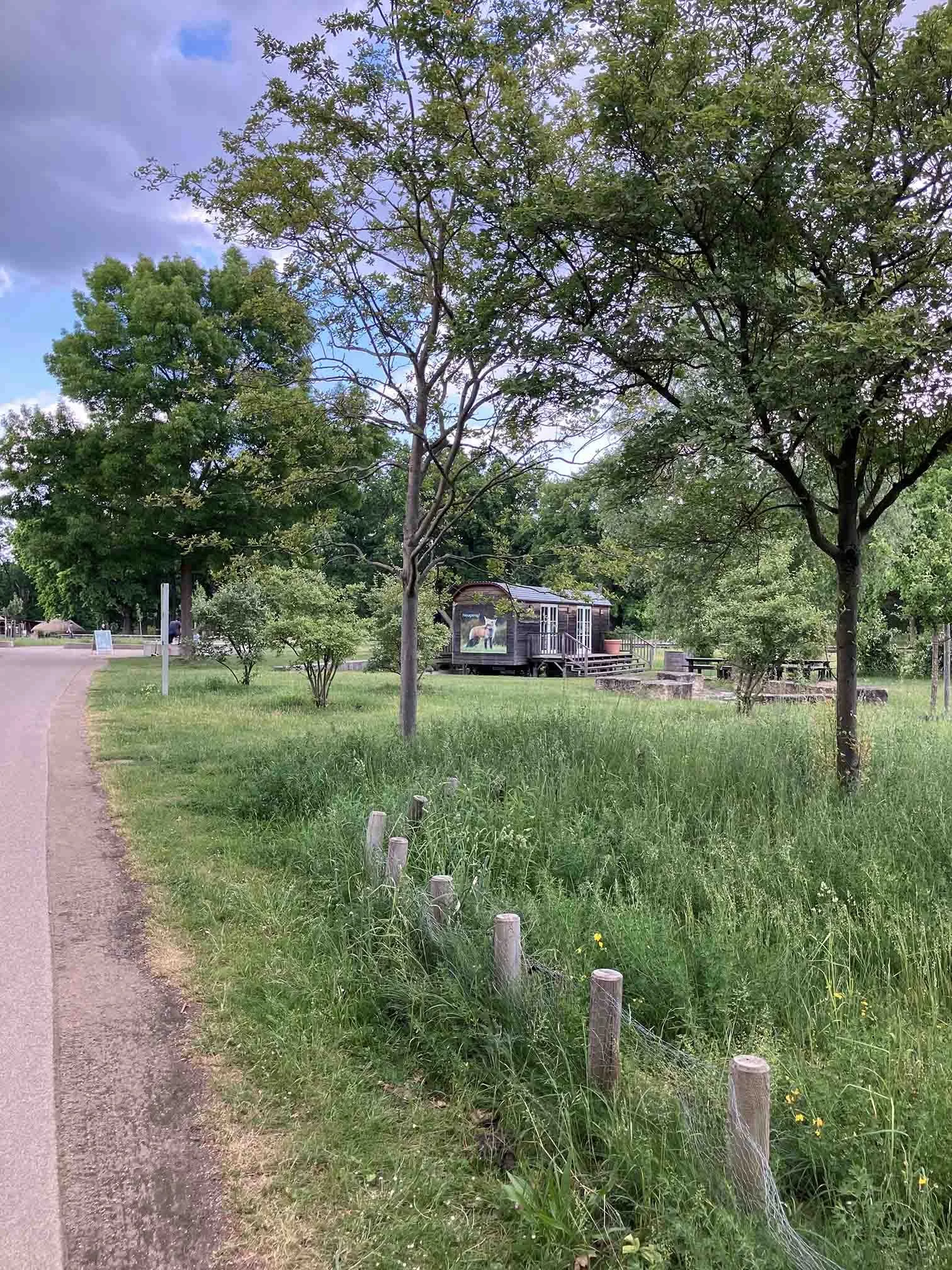 Grünes Kalssenzimmer_Potsdam.jpg