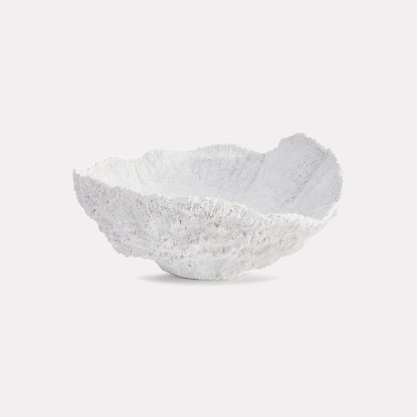 Shell Dish