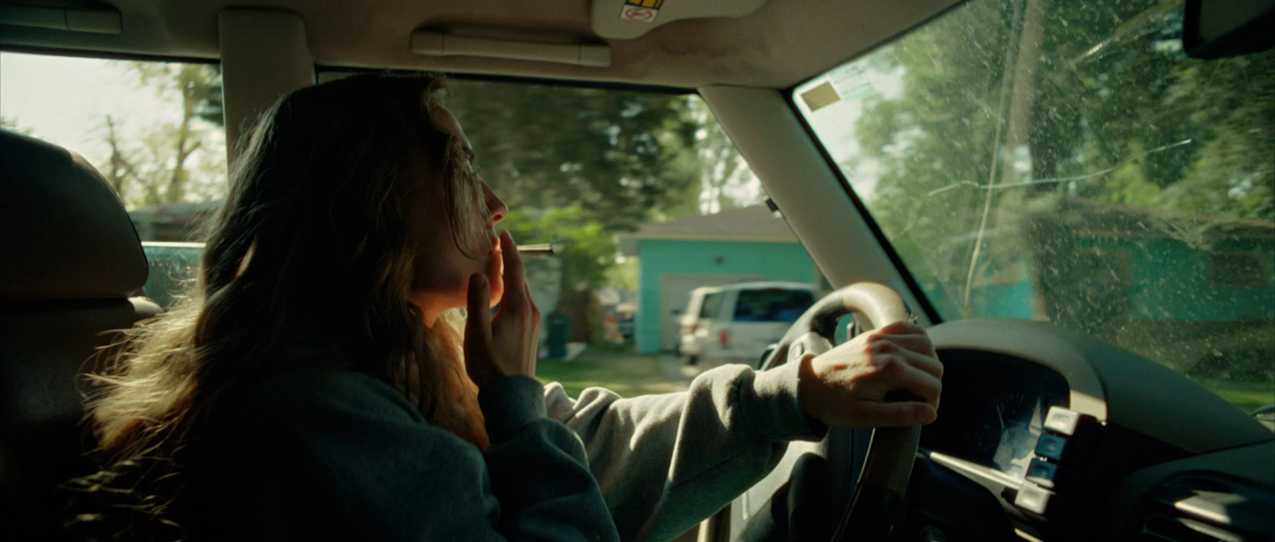 Wild Animal (feature film) — JOSEPH MARCONI