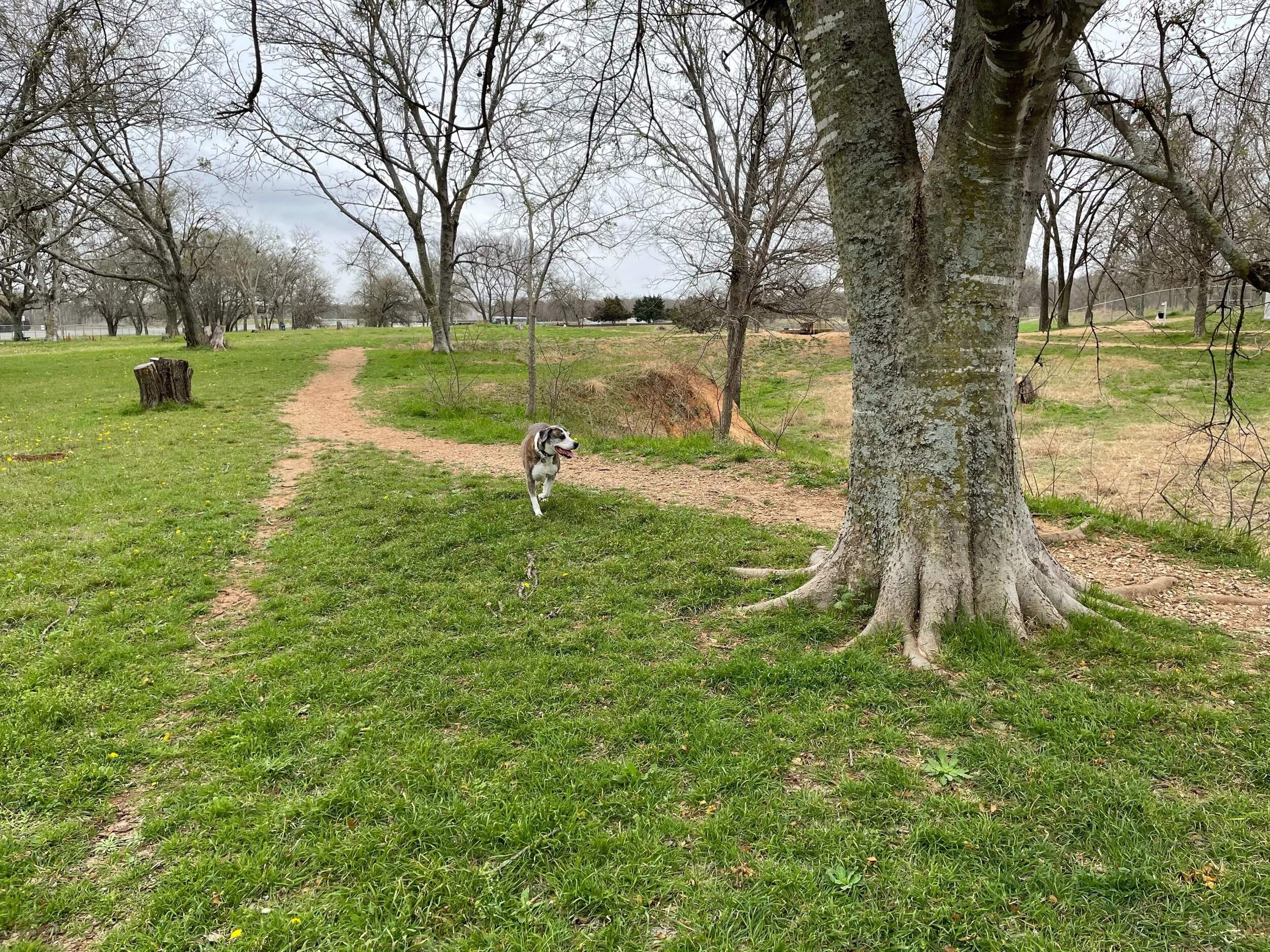 Nice path around the outer edge