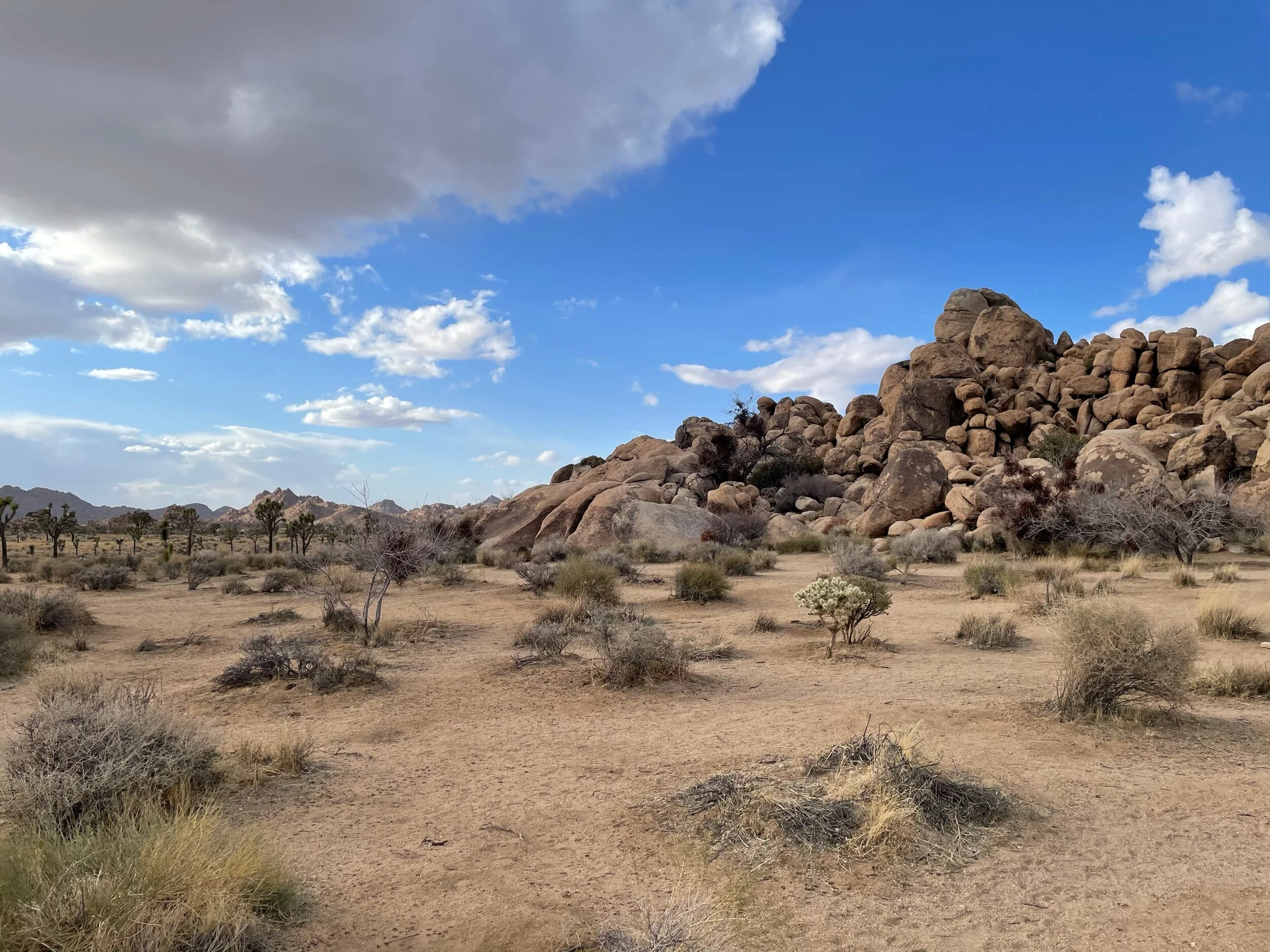 Rocks were so intersting, too!