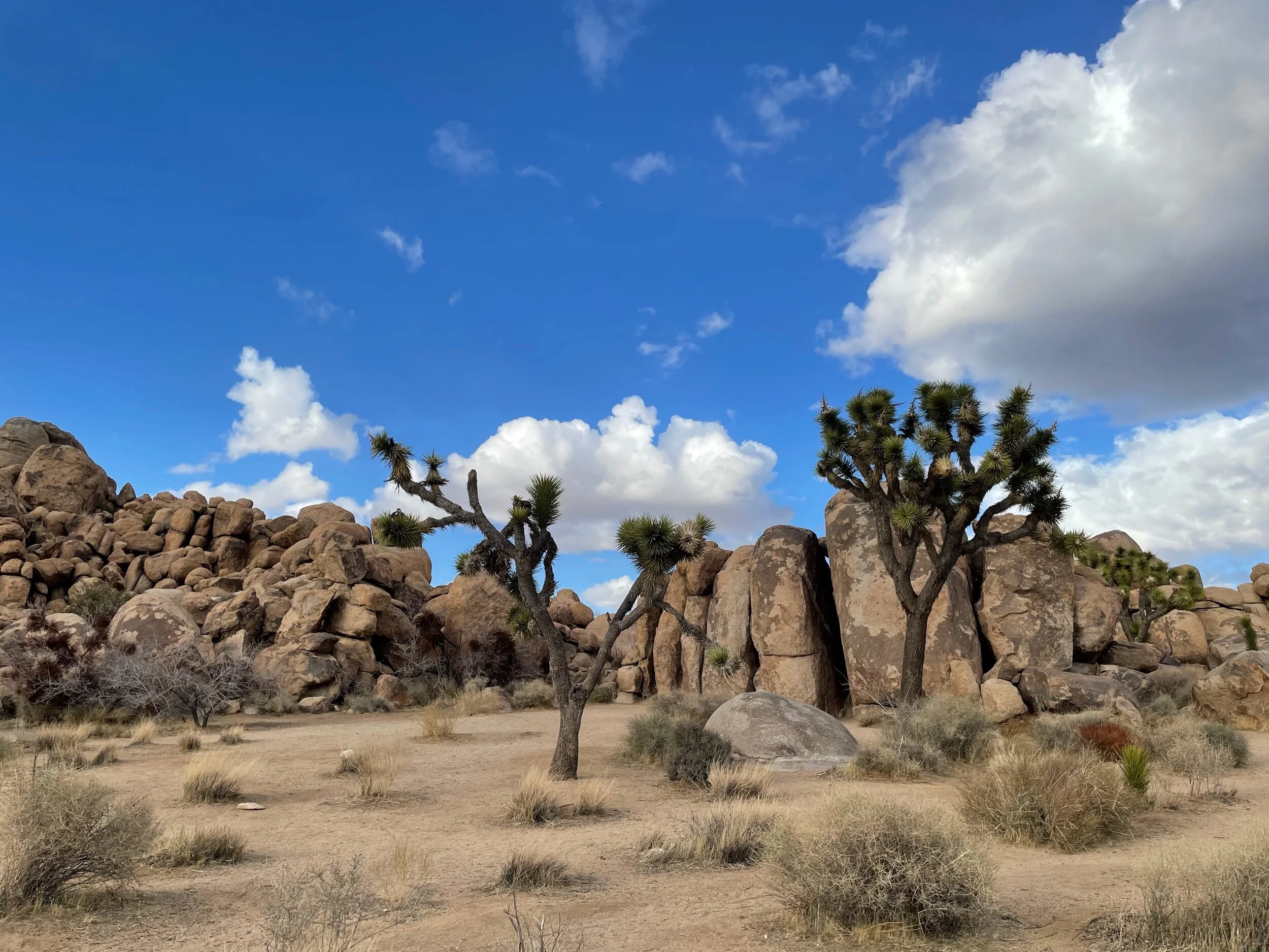 Look at that blue sky!