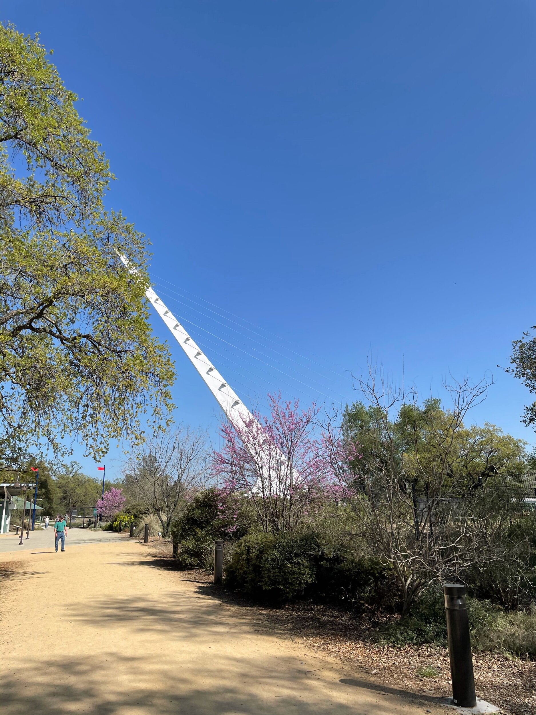IMG_0813.jpeg