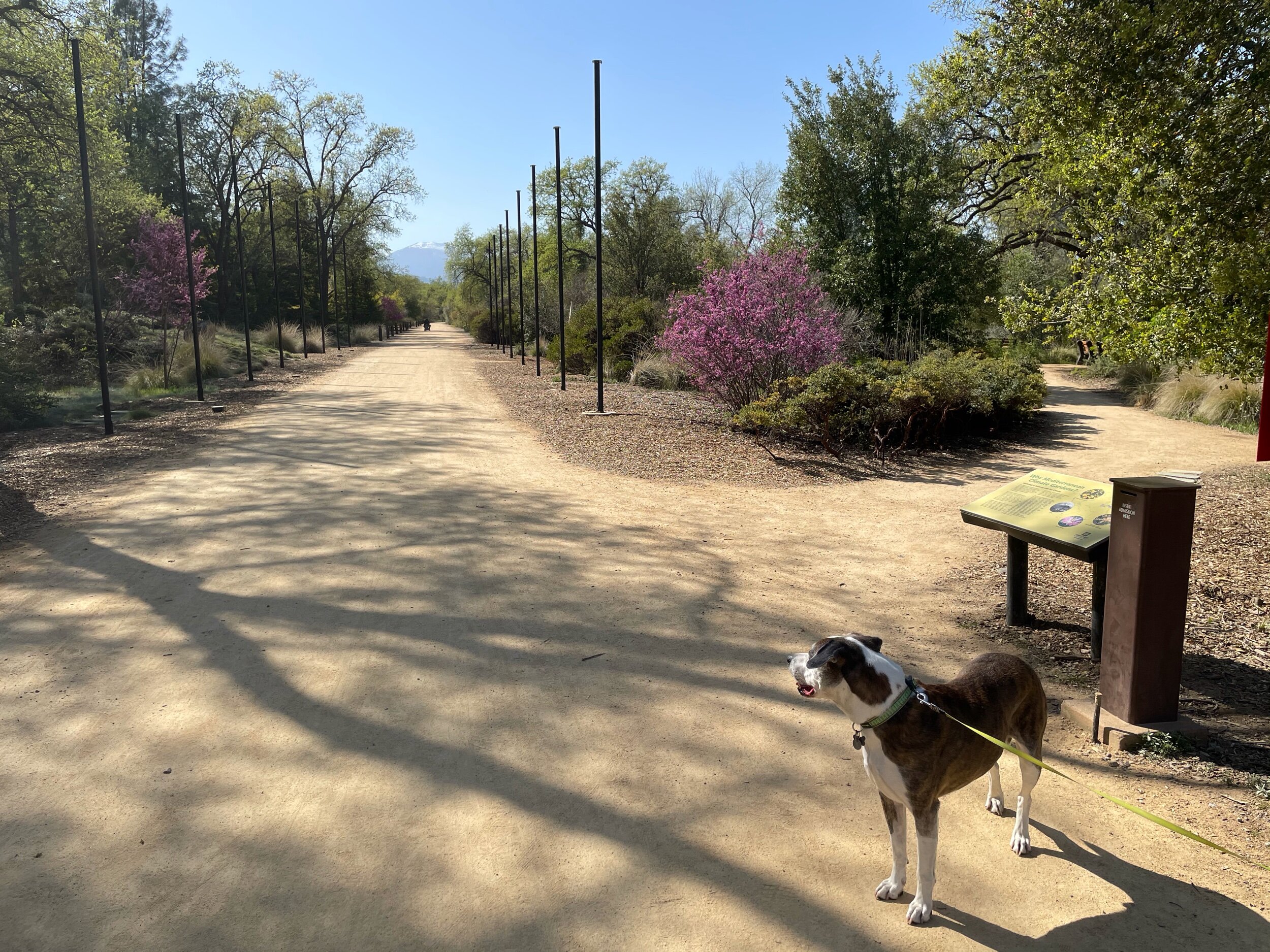 IMG_0812.jpeg