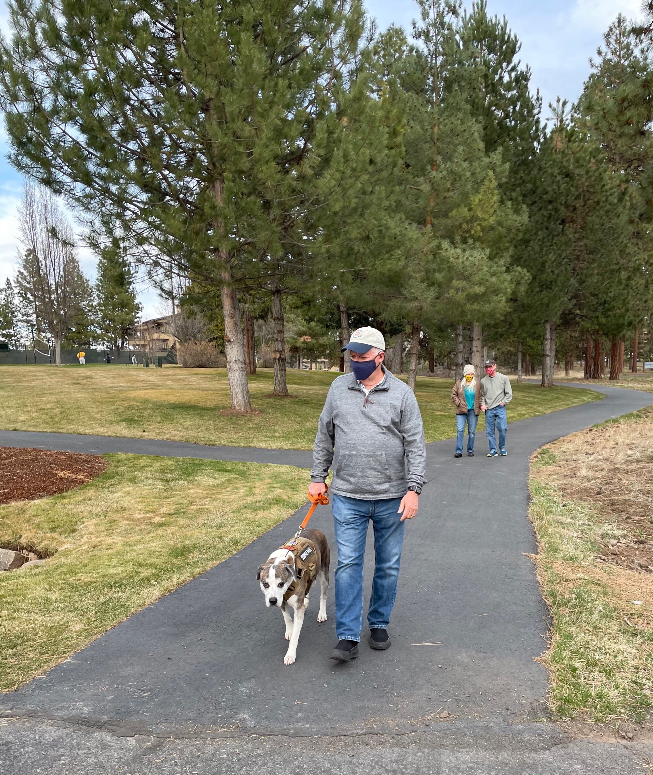 Tiko practicing as a service dog for Scott