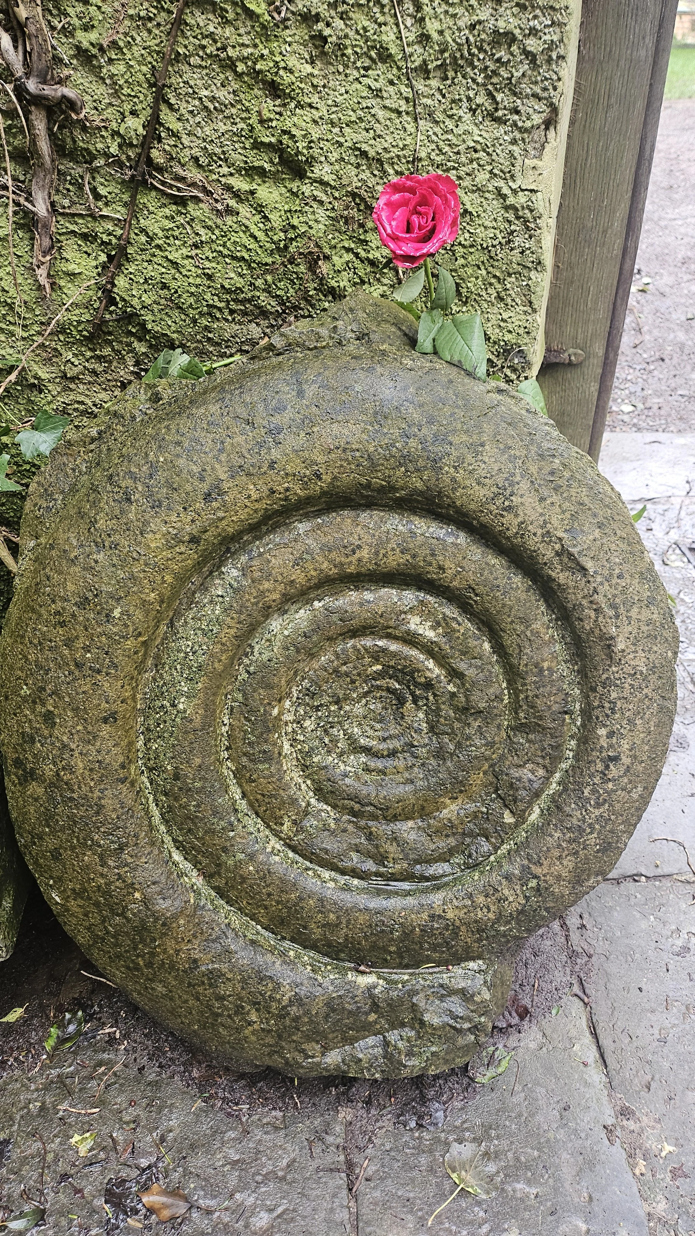 Life as an eternal spiral