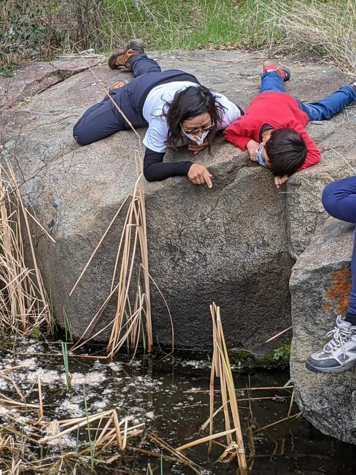 steffani liam epr.jpeg