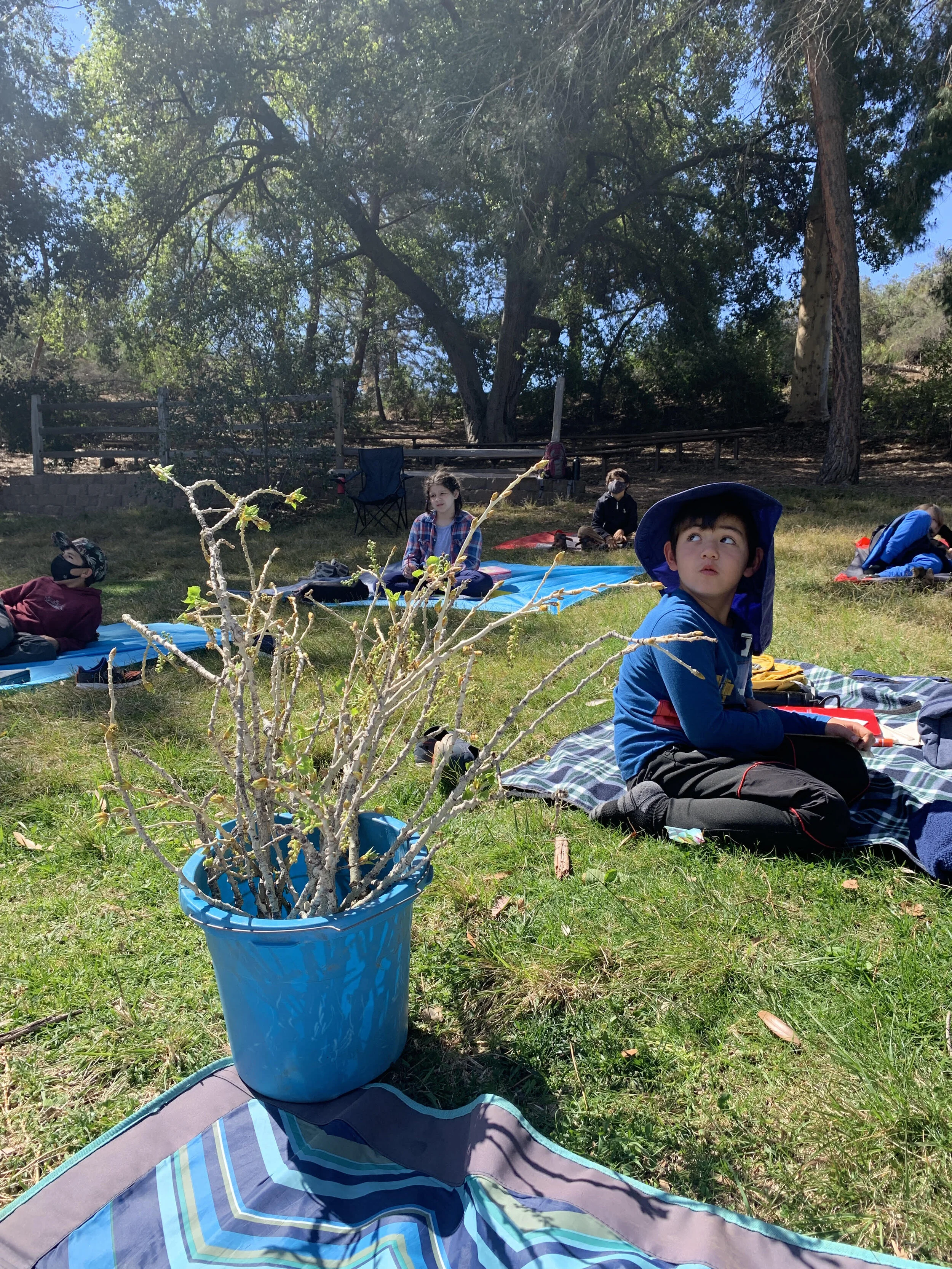 trash collect 11.jpg