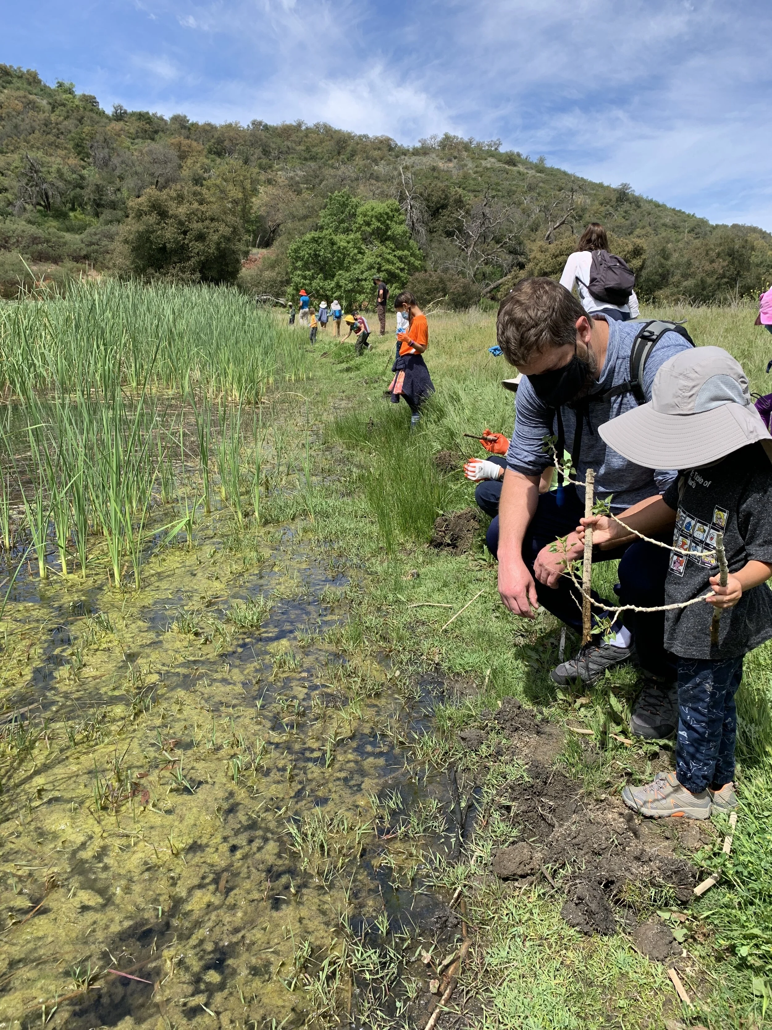 tree planting liam.JPG