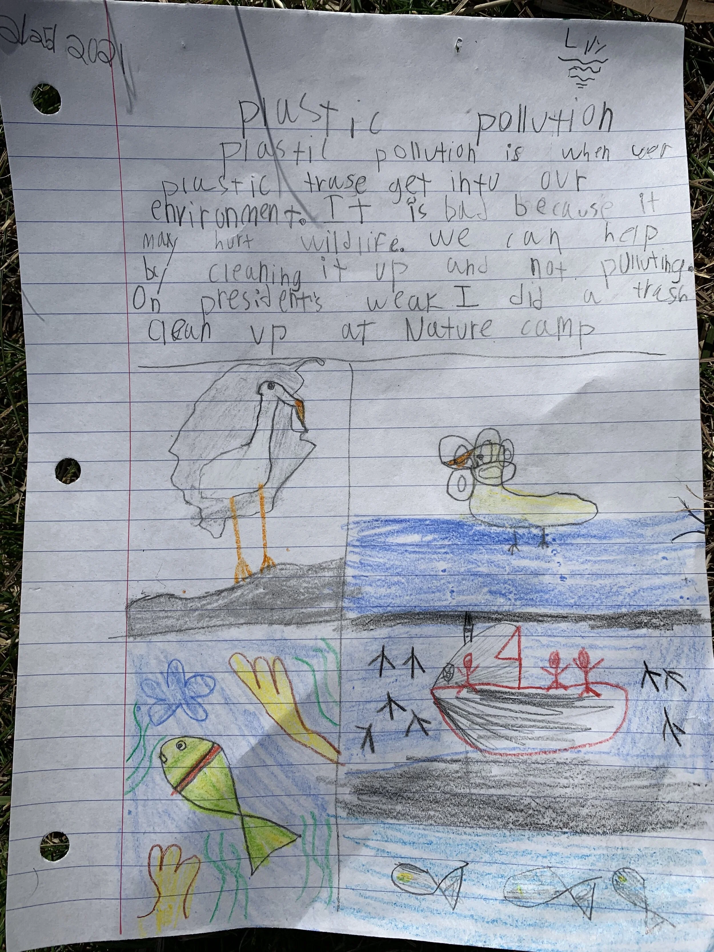 plastic pollution.jpeg