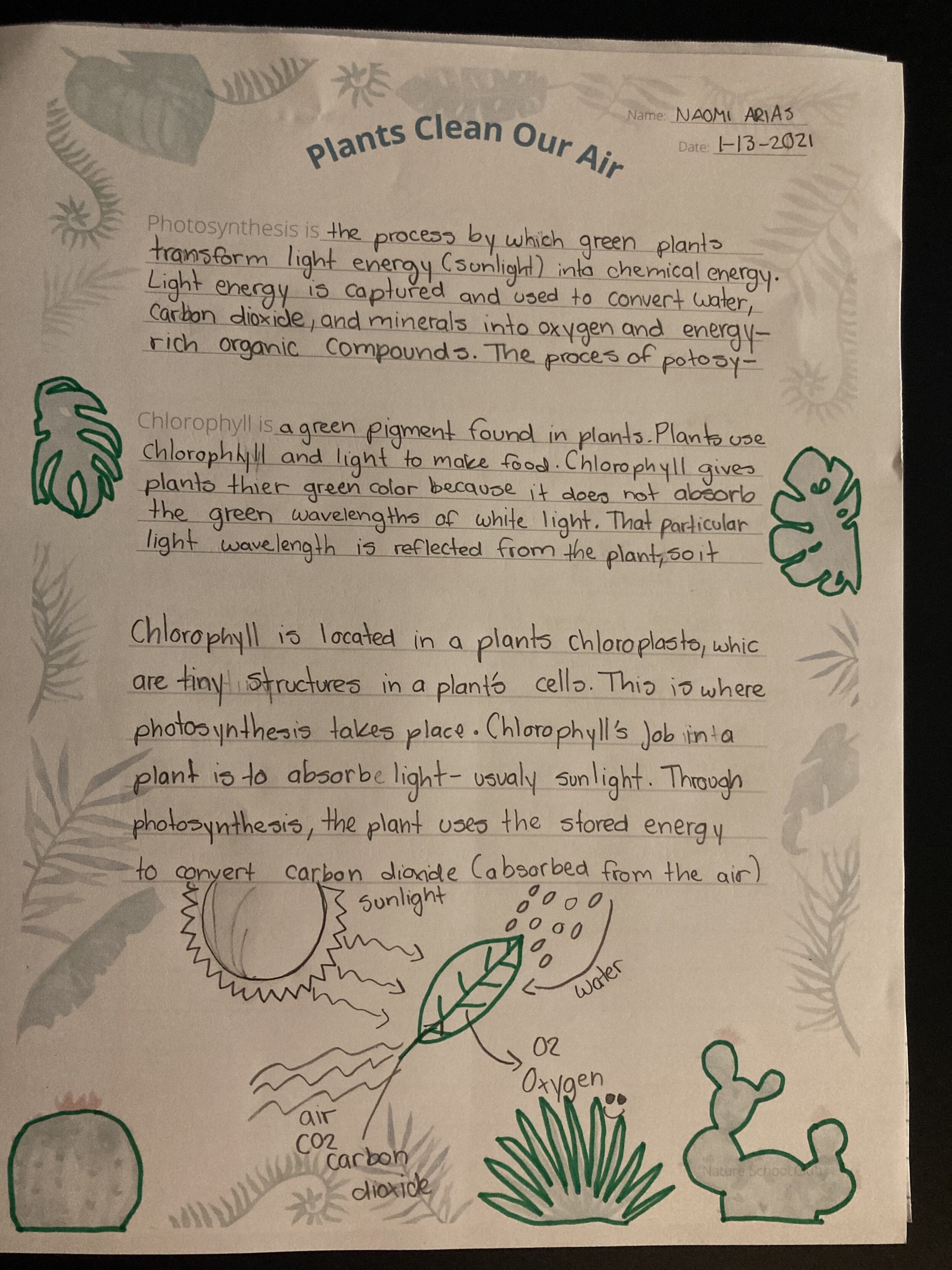 plants clean our air.jpeg