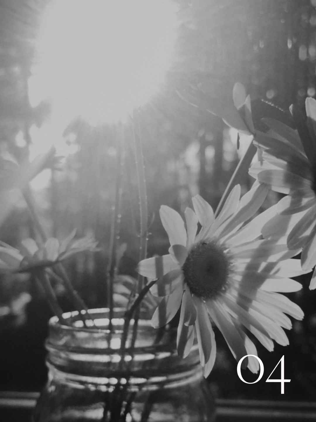 Opening to Light