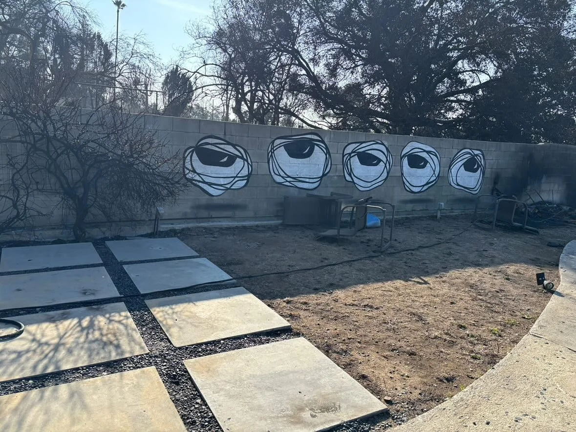 Eyeheads in Altadena after the fires destroyed everything around it. Our spirit, however, is strengthened. These eyes bare new meaning to me ❤️ thank you @robotwizard
