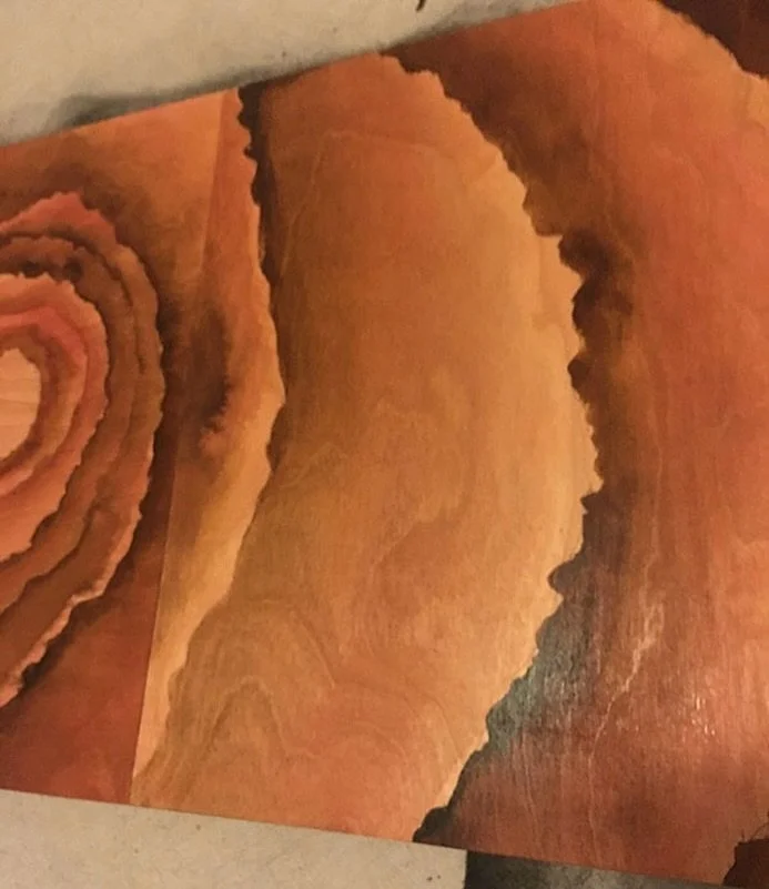 🧡

#songsinthekeyoflife #steviewonder #lovesinneedoflovetoday #acrylicinkonwood #diptych