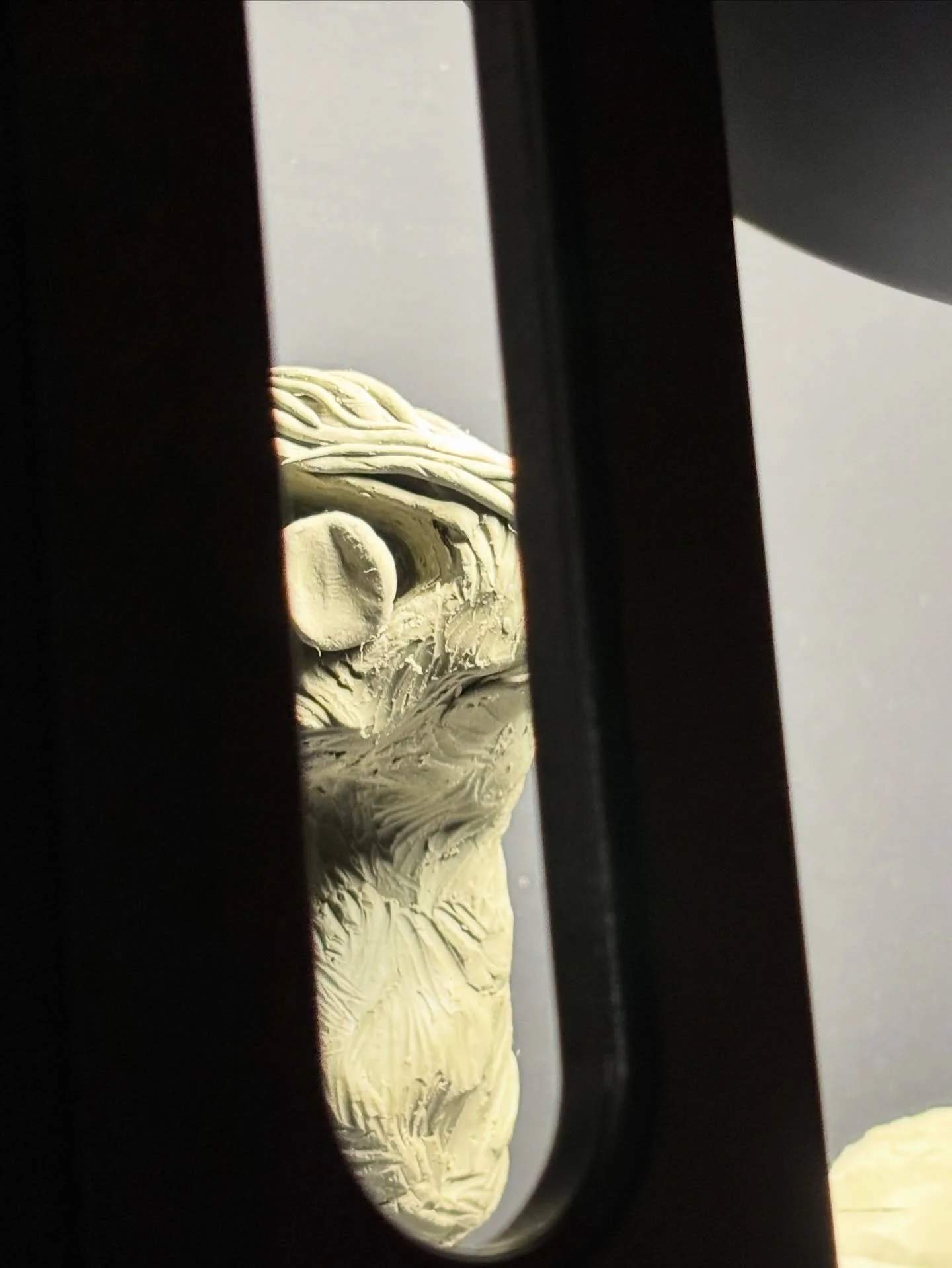 peeking through #studioview