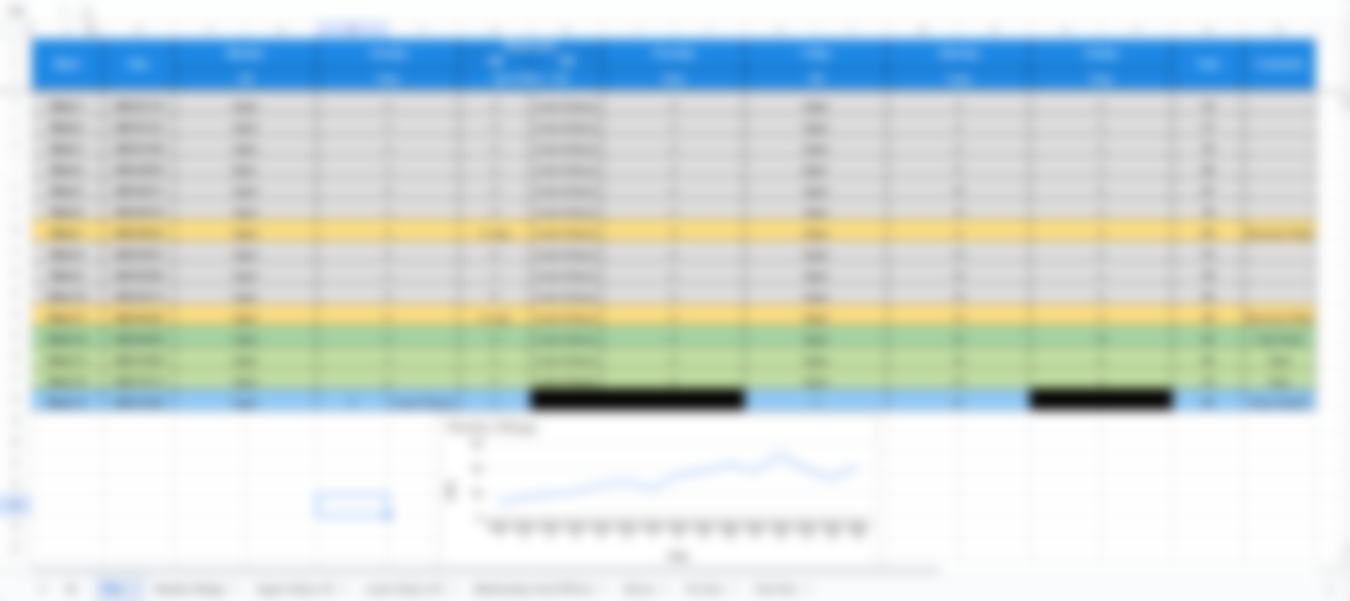 Custom Training Plan