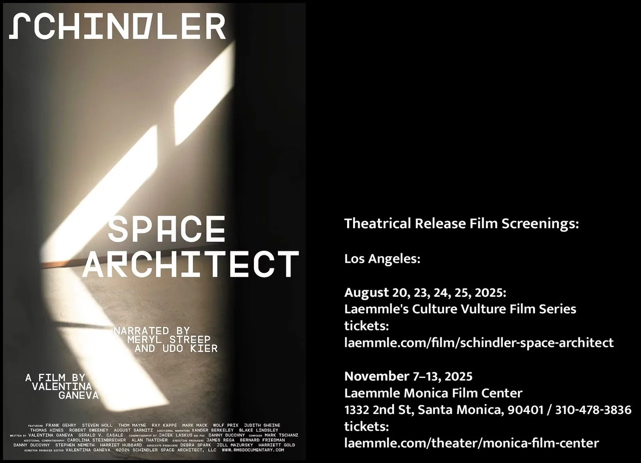SA_filmscreenings copy.jpeg