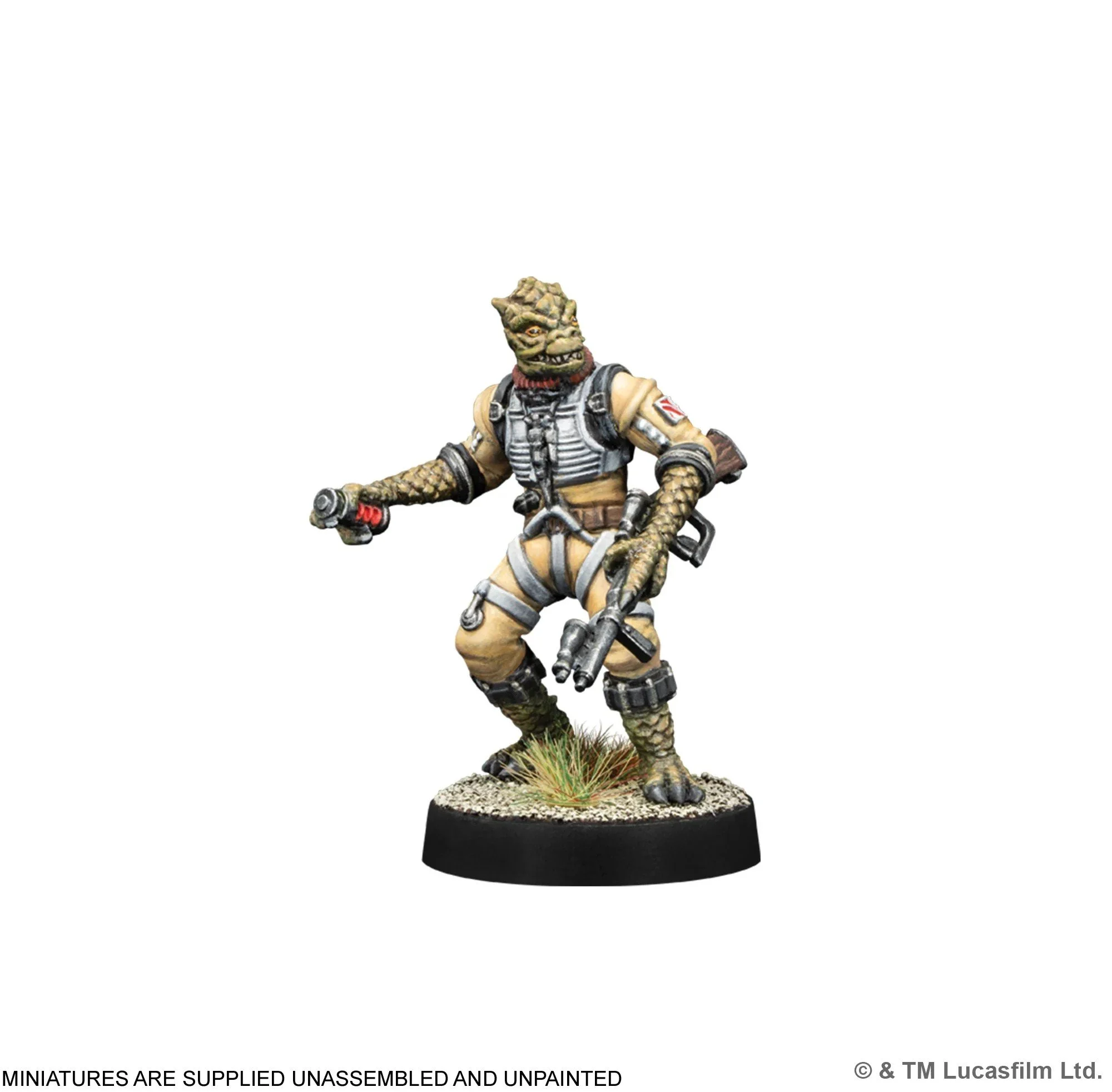 SWQ44-image4_2000_2000x.jpg