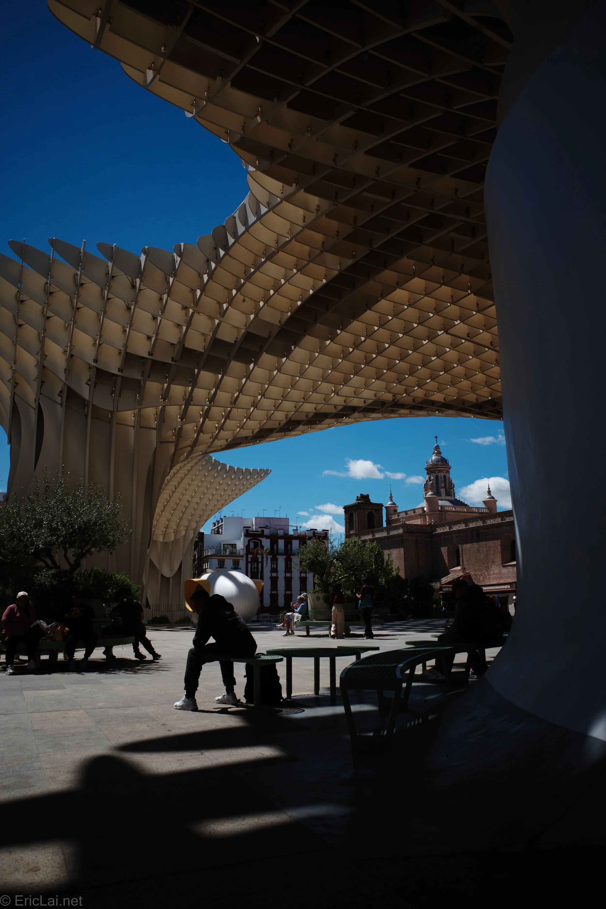 Andalusia 2026-0002358.jpg