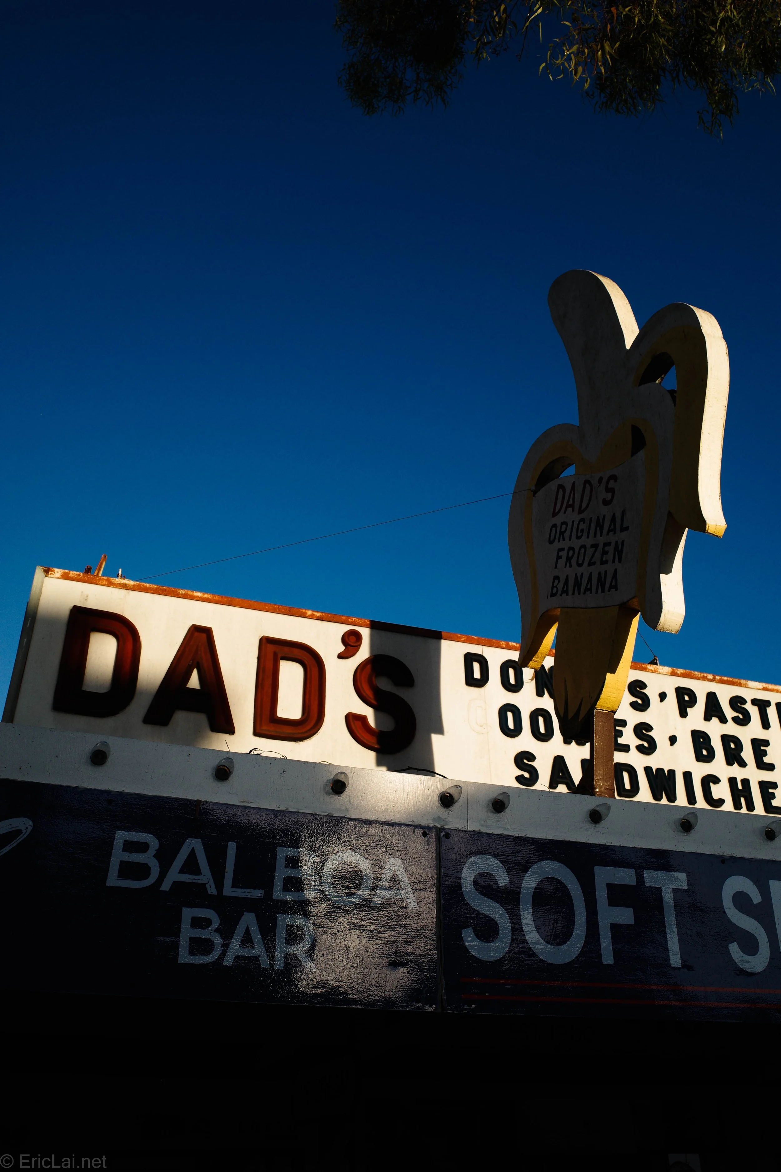 Dad's Frozen Banana Stand-0001423.jpg