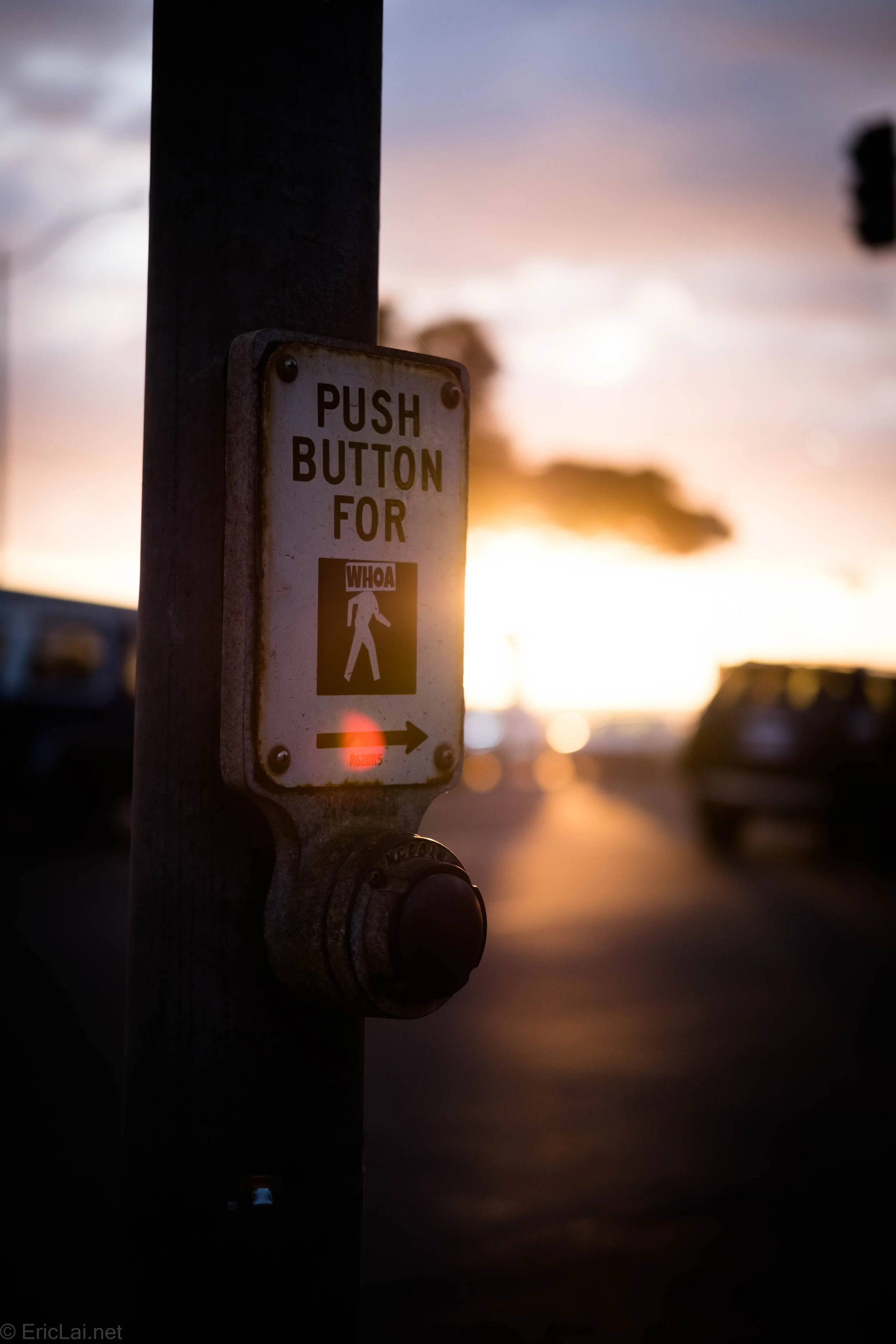 Walk into Sunset-5589.jpg