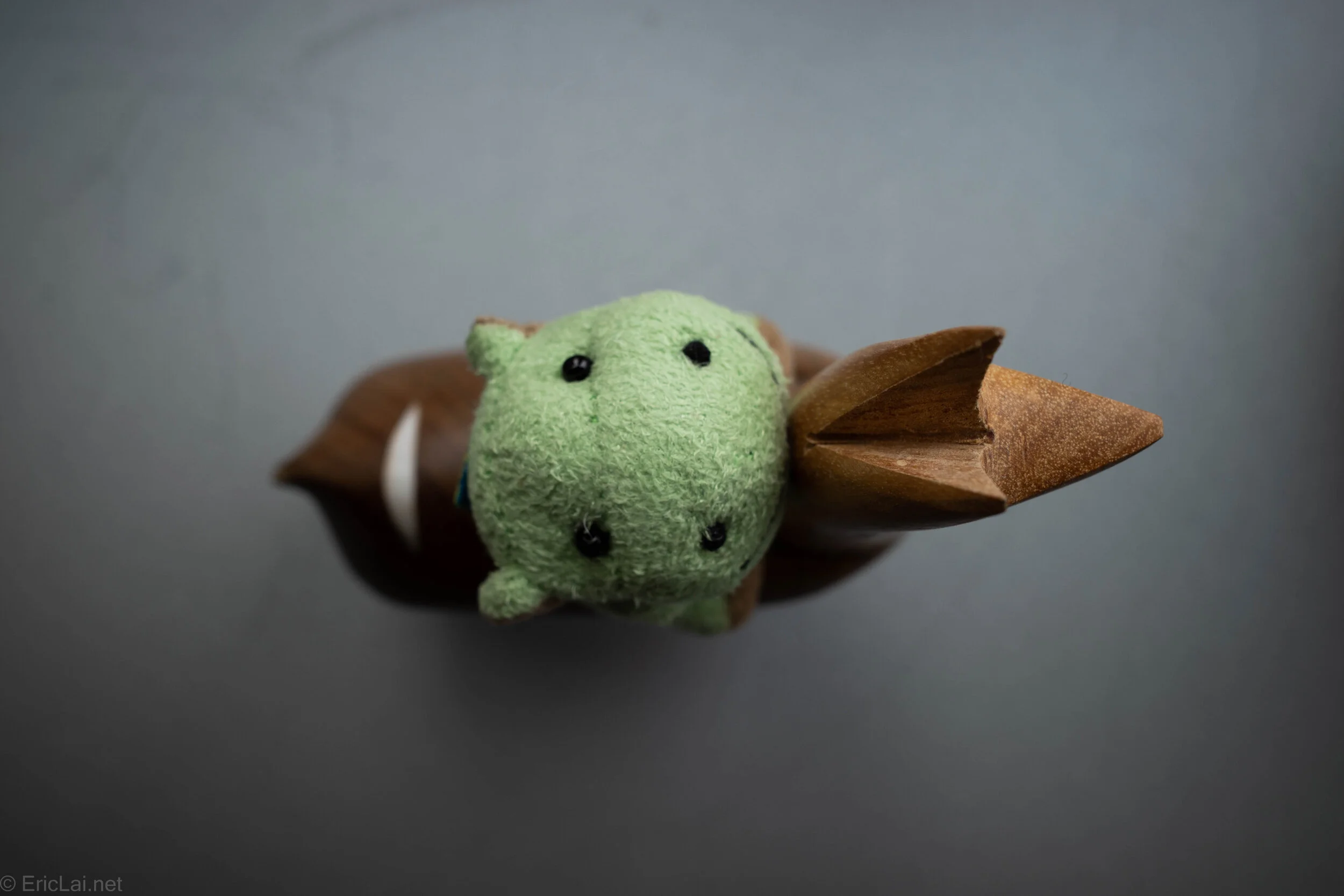 Hippo on Guanaco-0001115.jpg