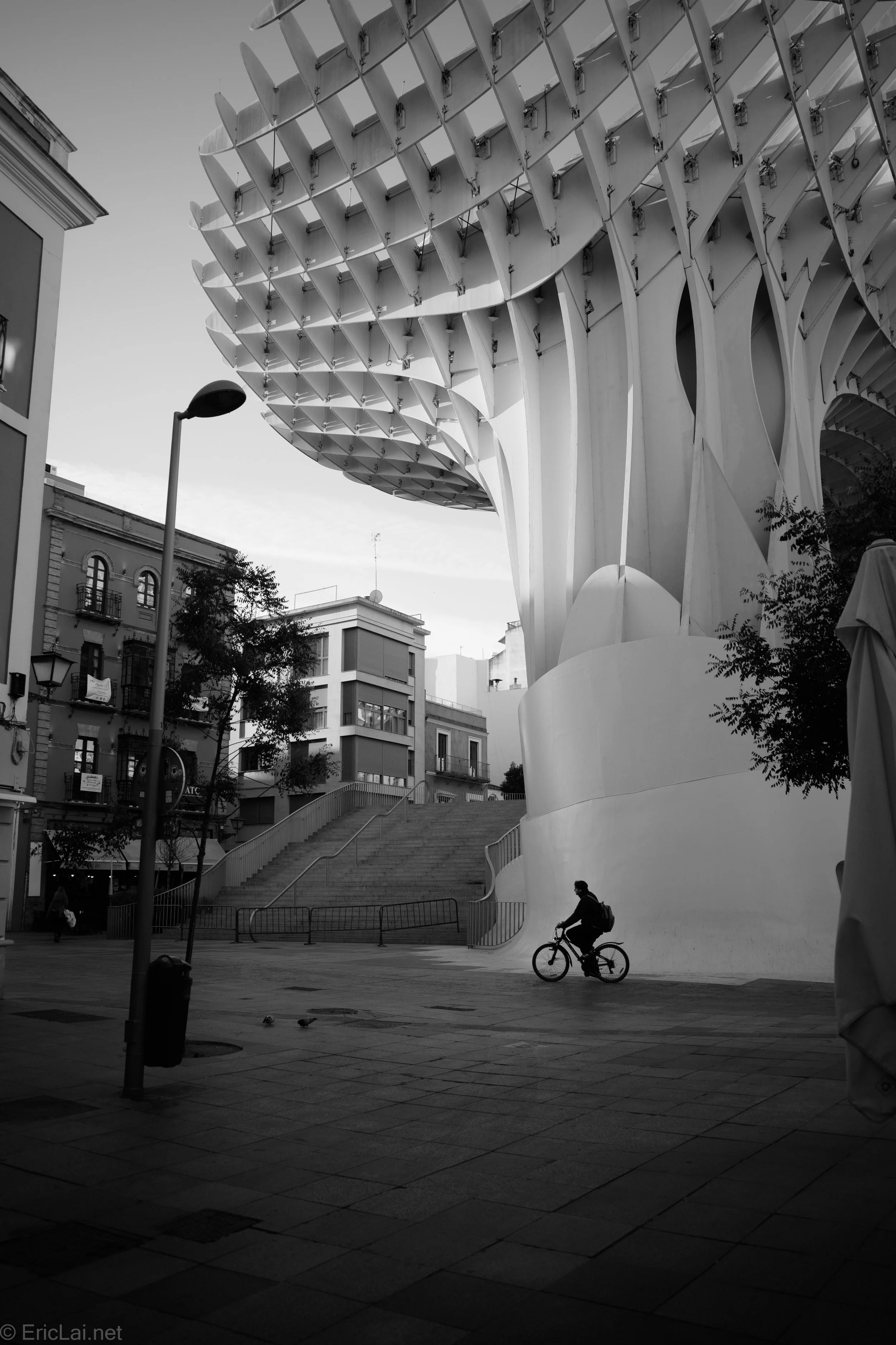 Andalusia 2026-0002298.jpg
