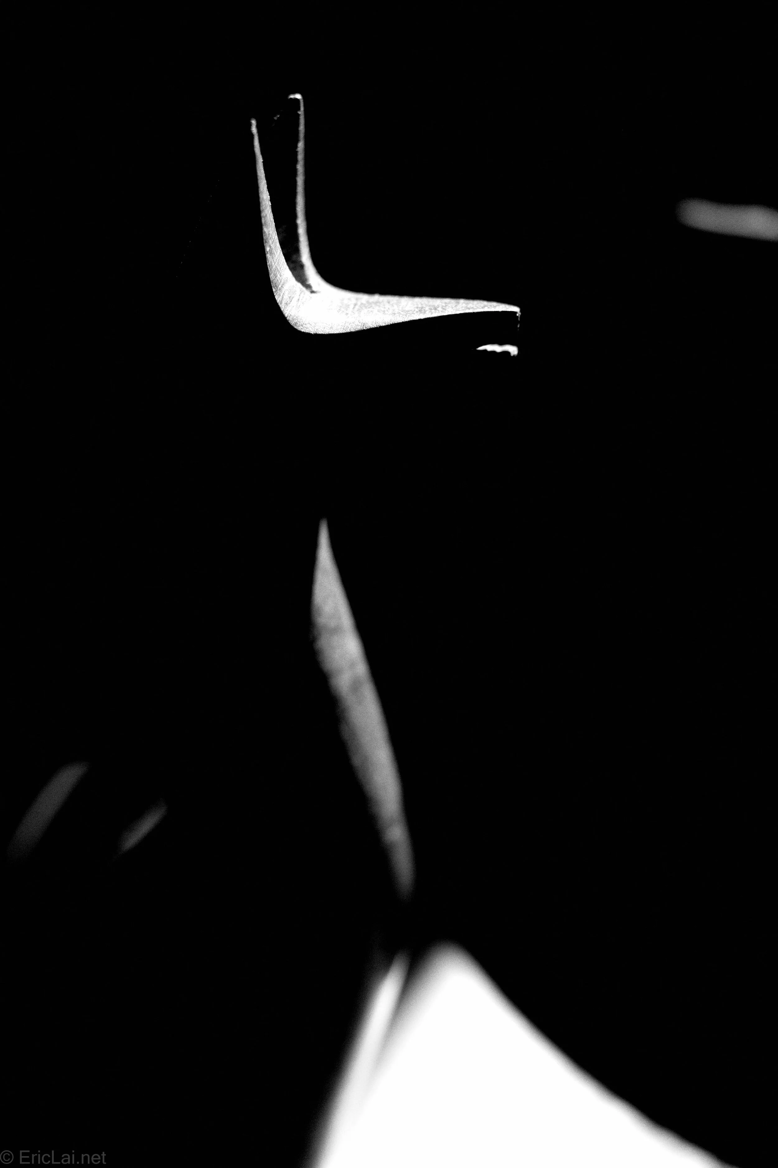 Carved Guanaco in Harsh Light-0001011.jpg