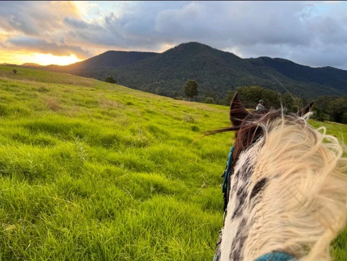 Bring your horse
