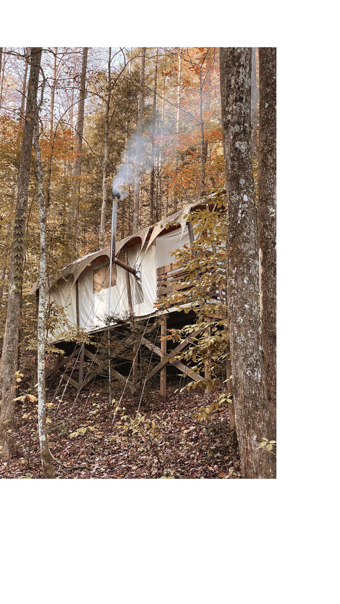 Babymoon At Under Canvas Smoky Mountains