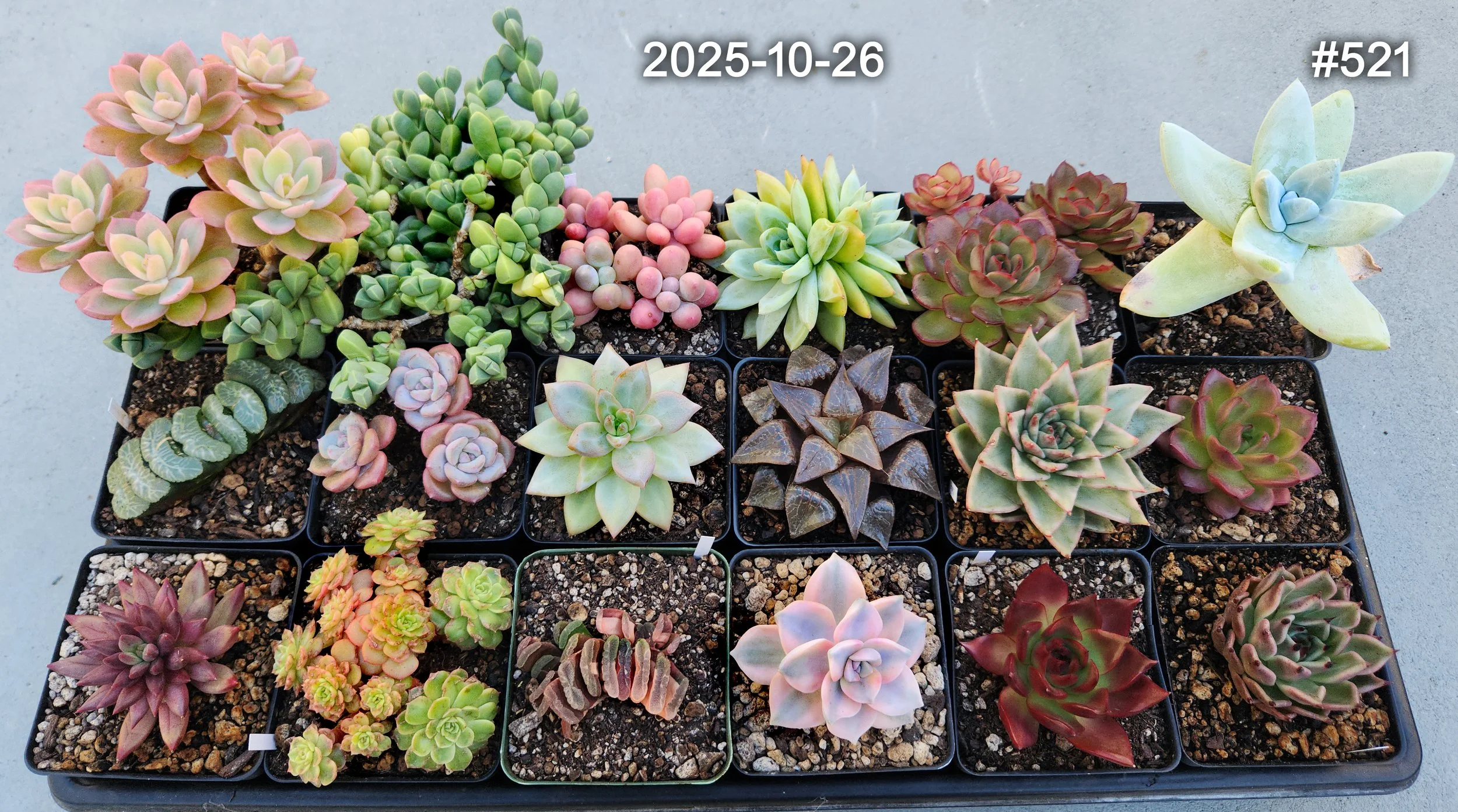 2025-10-26
