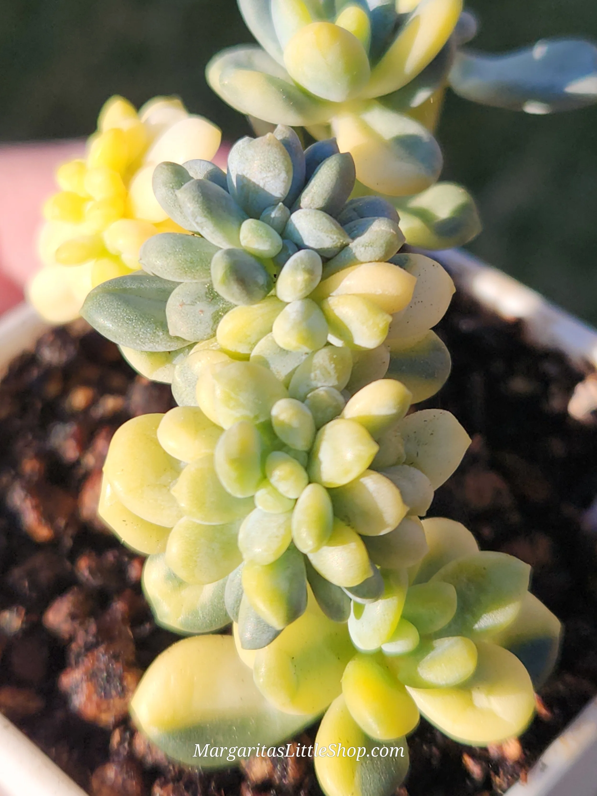 20251213_150307.jpg