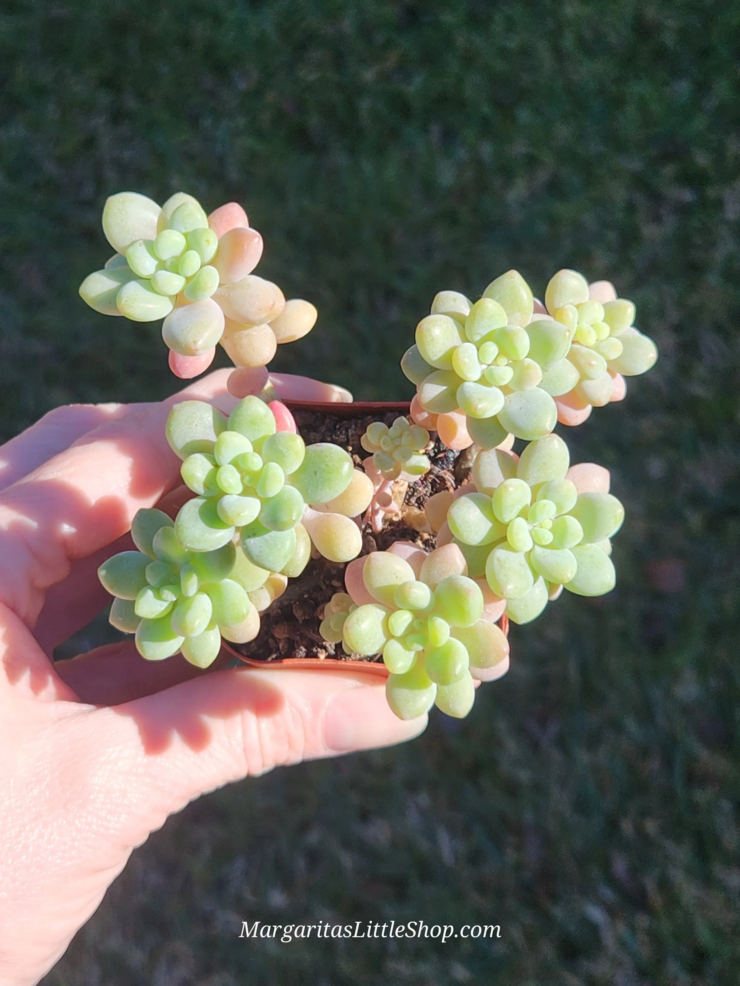 20251222_141812 (2).jpg