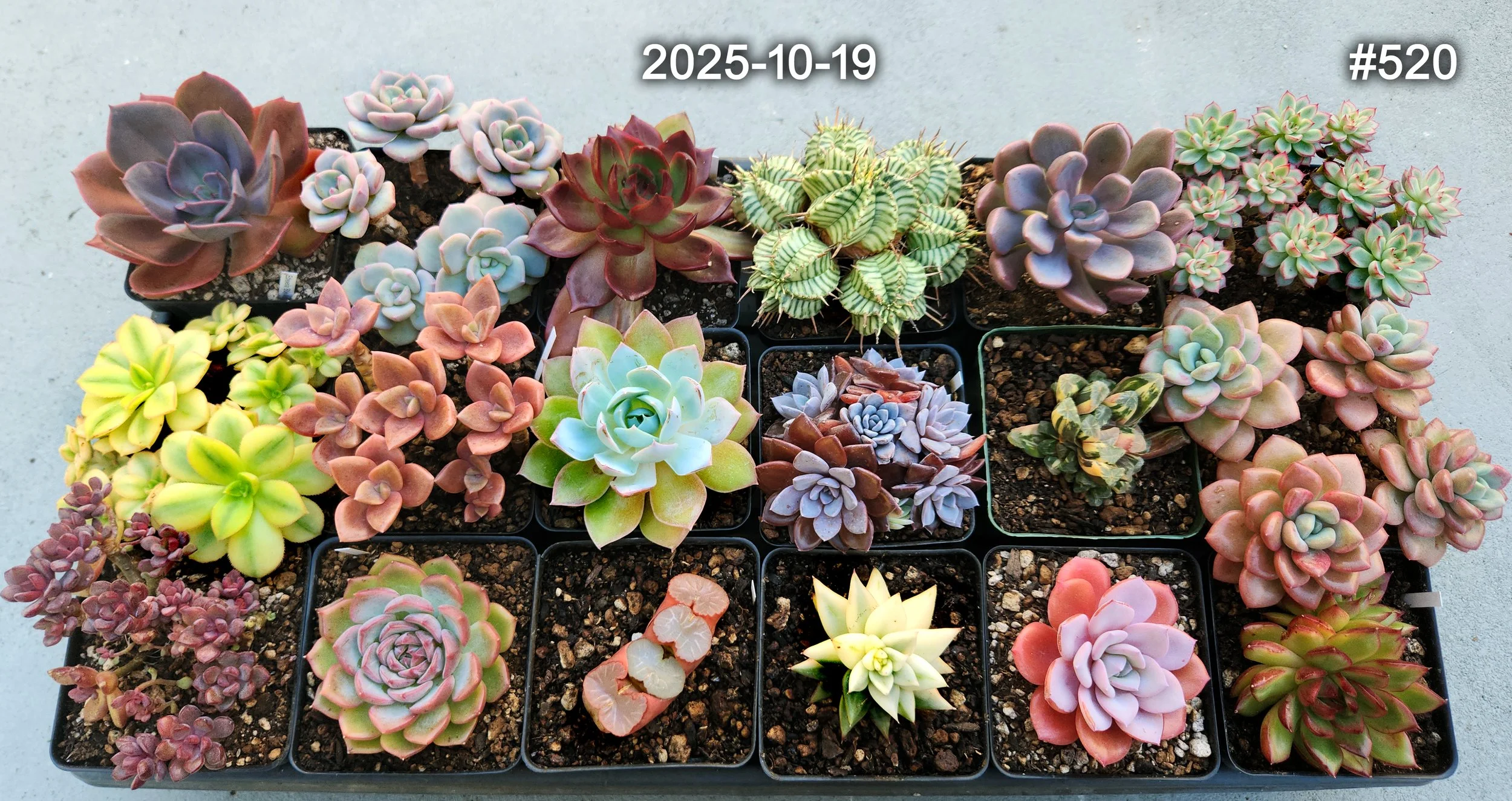 2025-10-19