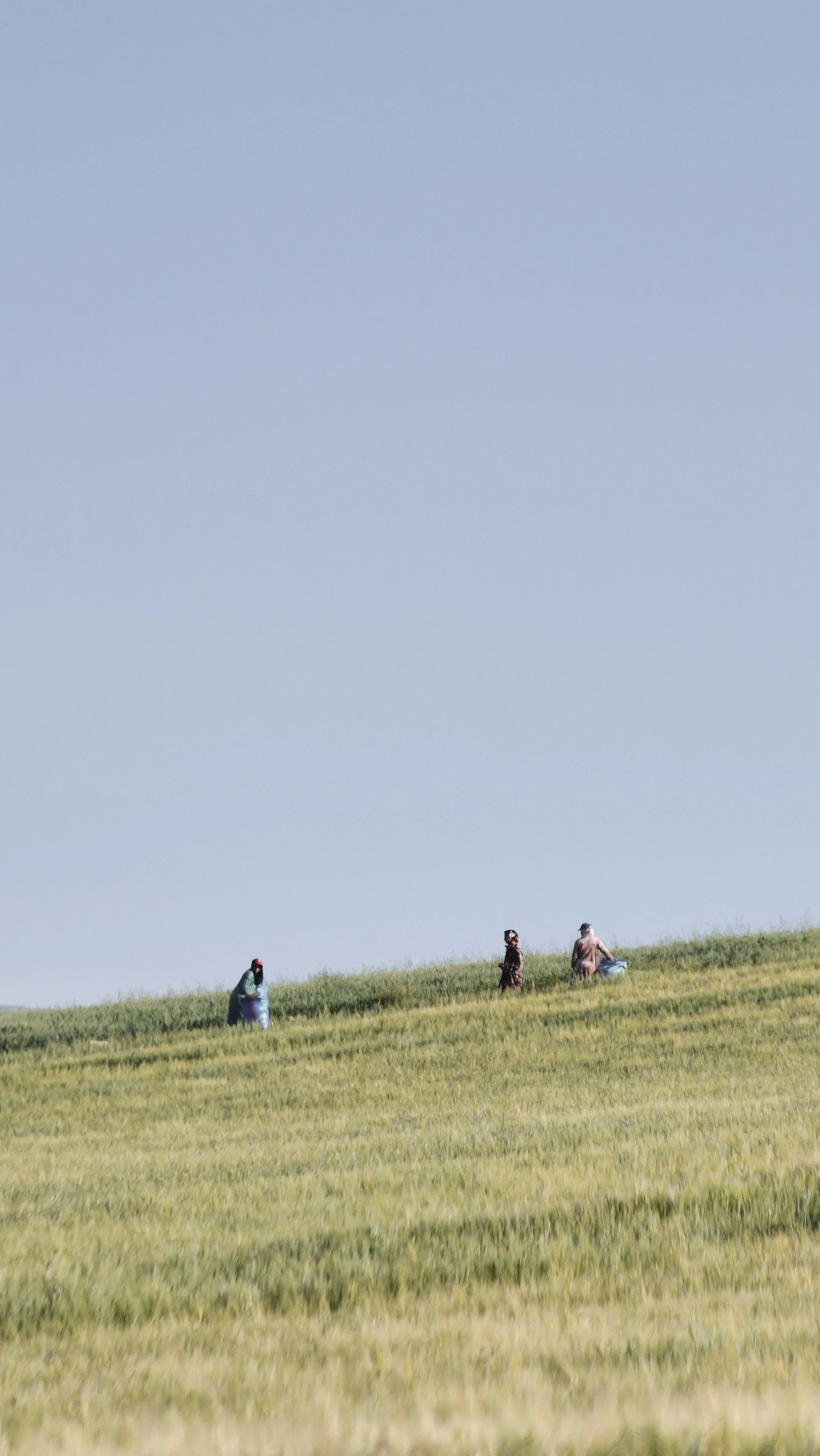 secrecy is a form of care