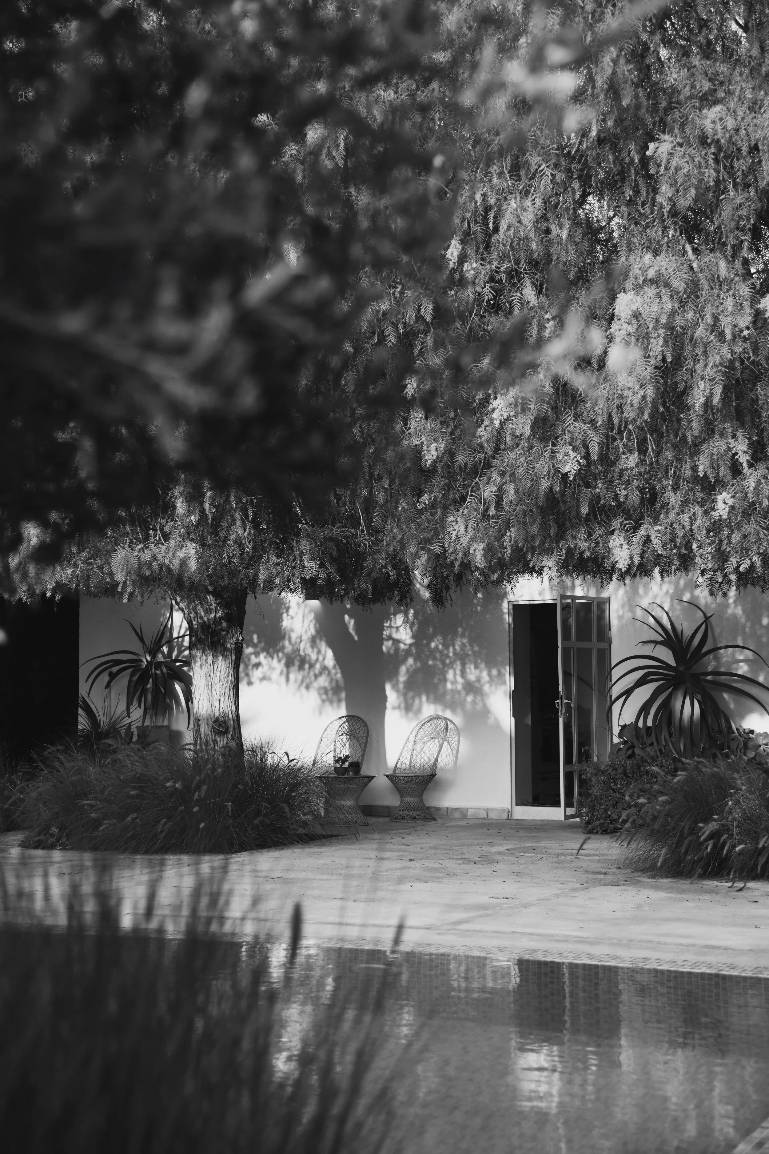 Pink Pepper House Architectural Photographer Essaouira Refined Garden 2.jpg