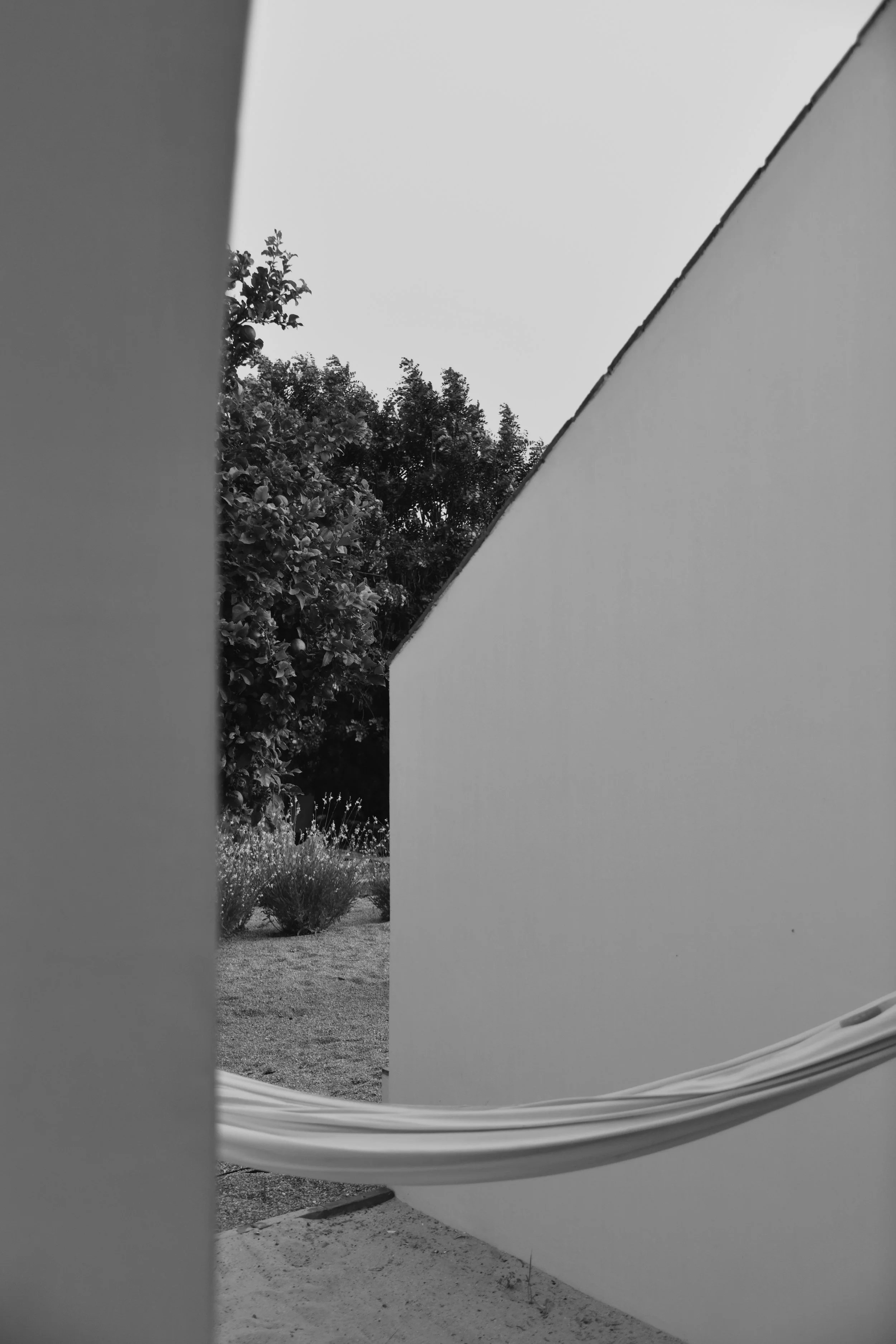 A6BD7961-DBA2-4034-ACF3-27713E794910.jpeg