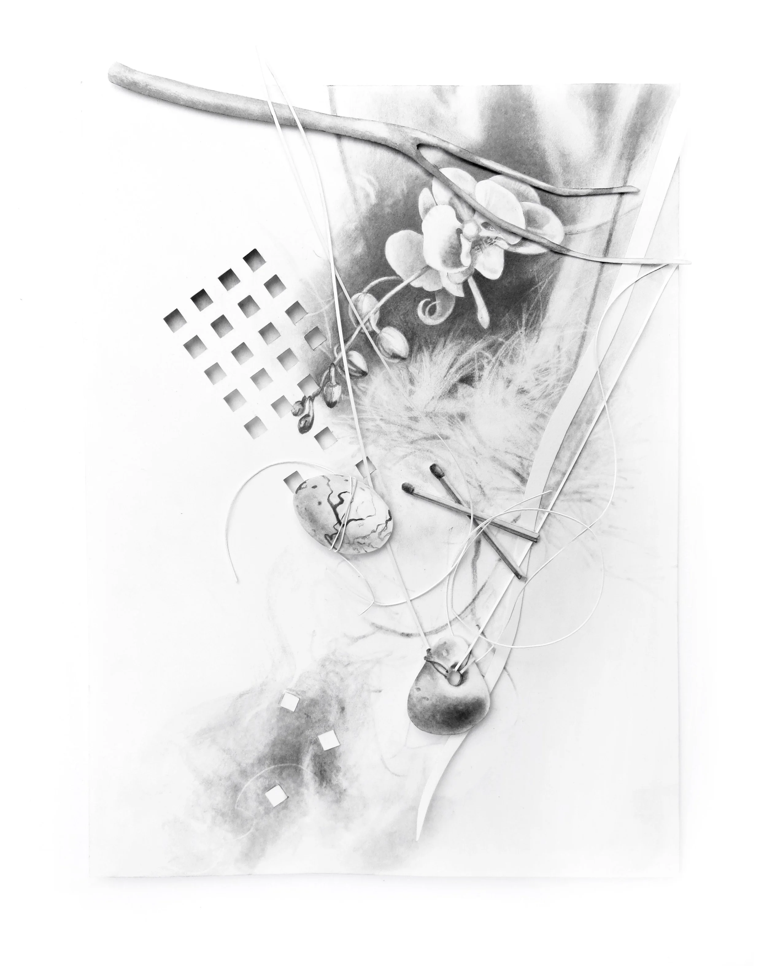Thickets and Tangles #2 2020 graphite on Bristol paper (SOLD)