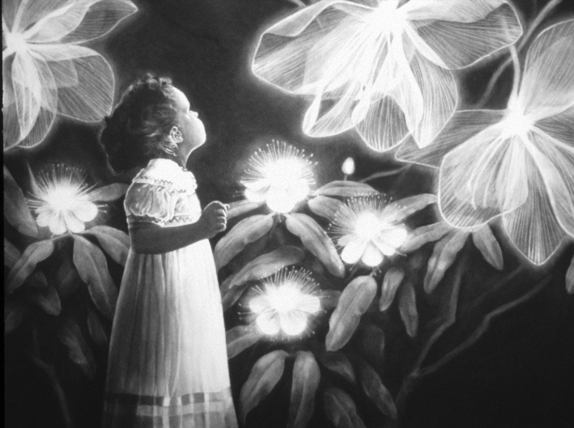 Dream of a Garden charcoal on paper