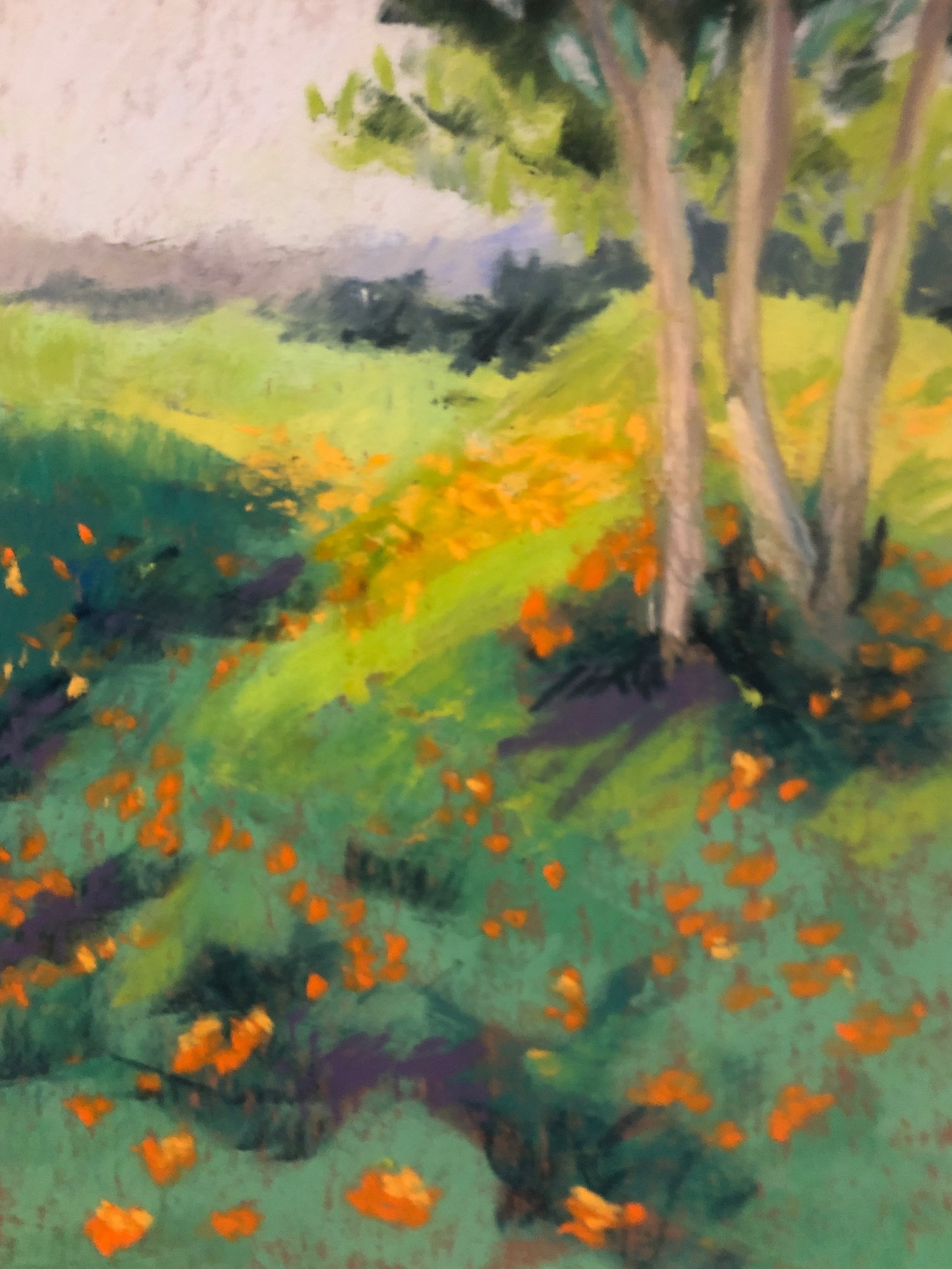 Plein Air Course (Free through Saddleback)