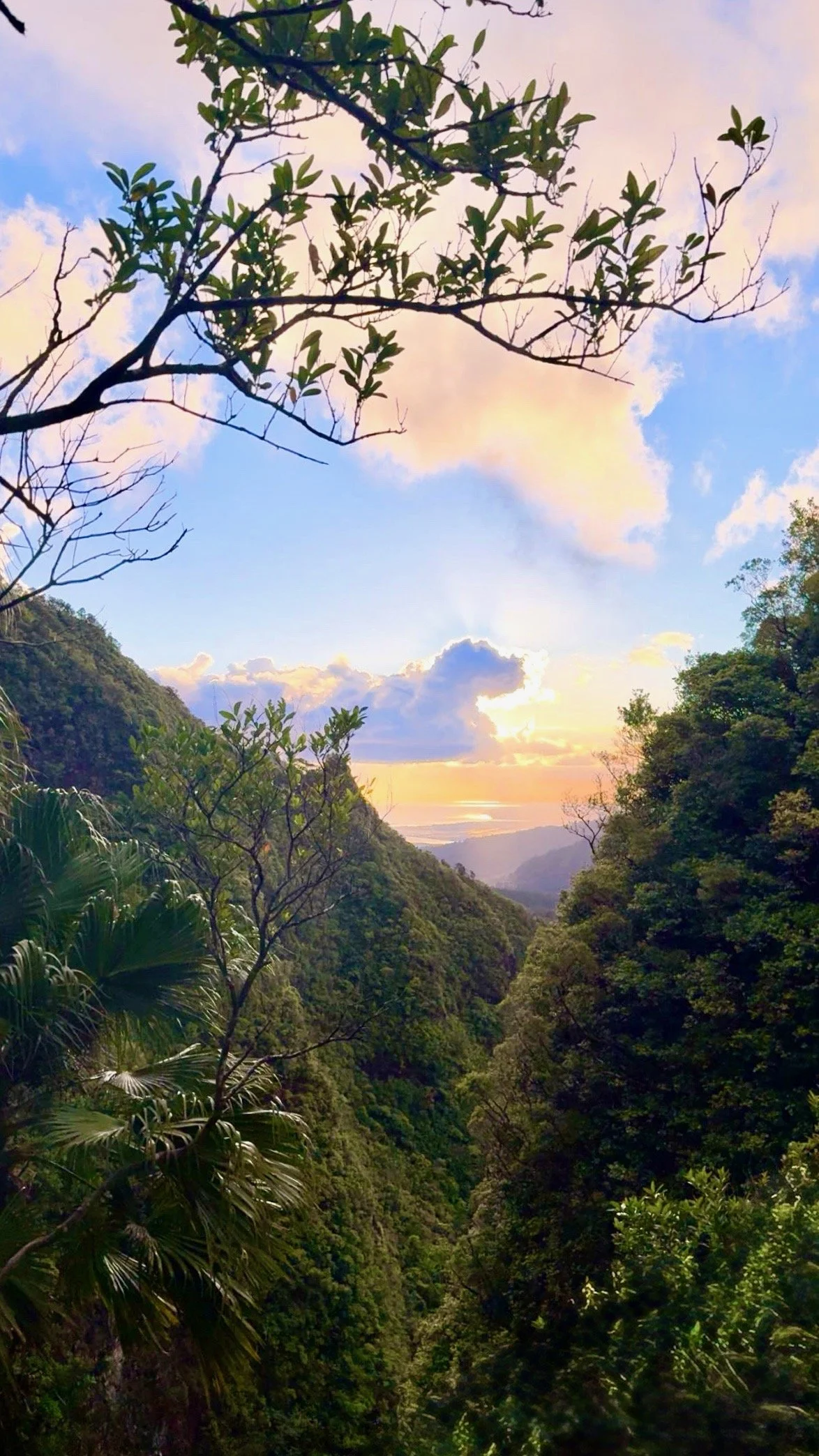 lush Hawaiian valley with tropical trees and a golden sunset sky, evoking stillness and presence